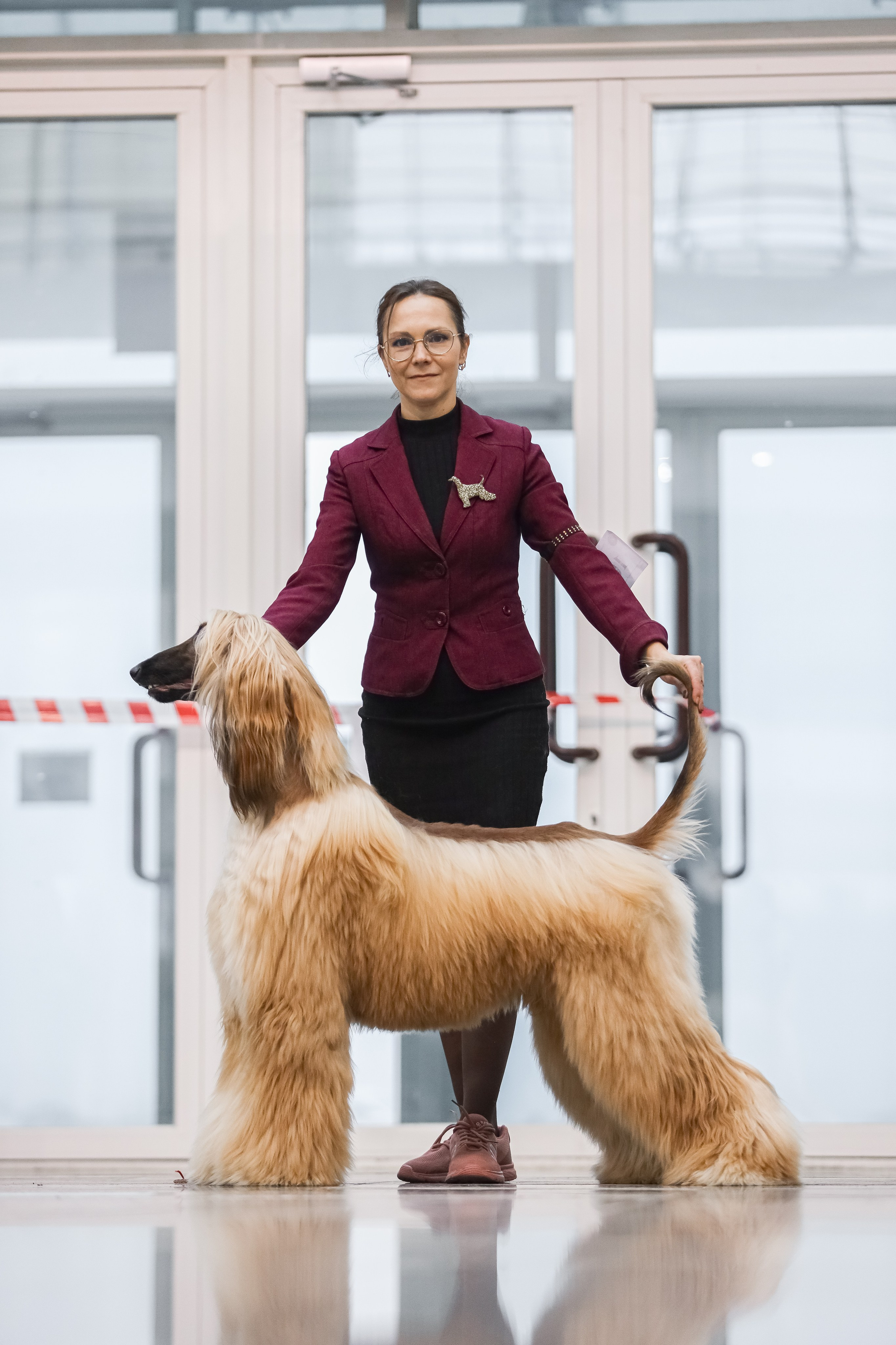 Международная выставка собак СACIB FCI 29-30.11.2025. Галерея фотографий афганской борзой