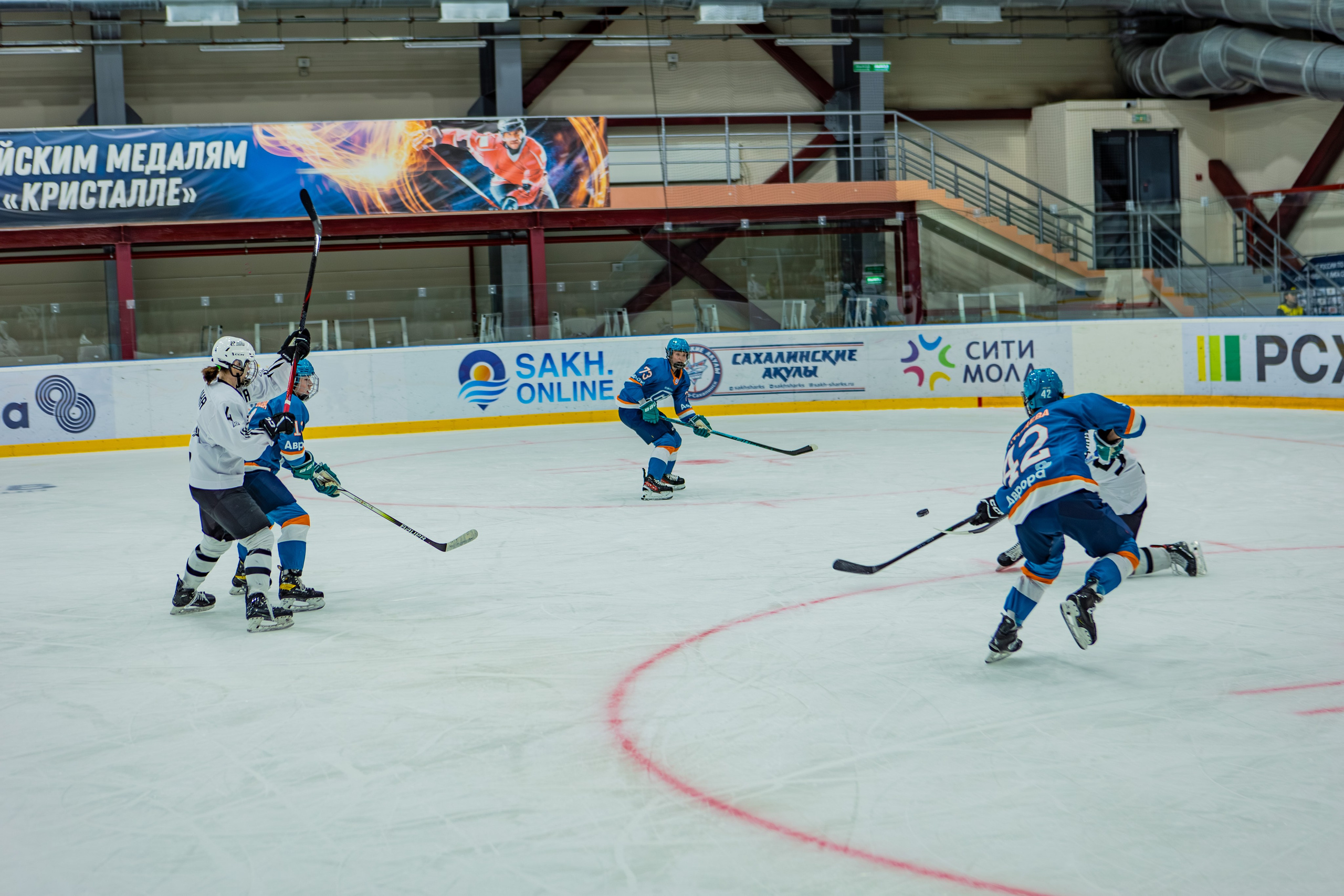 Матч «Сахалин"-"Белые Медведицы». Свадебный фотограф в Южно-Сахалинске Валерий Харченко