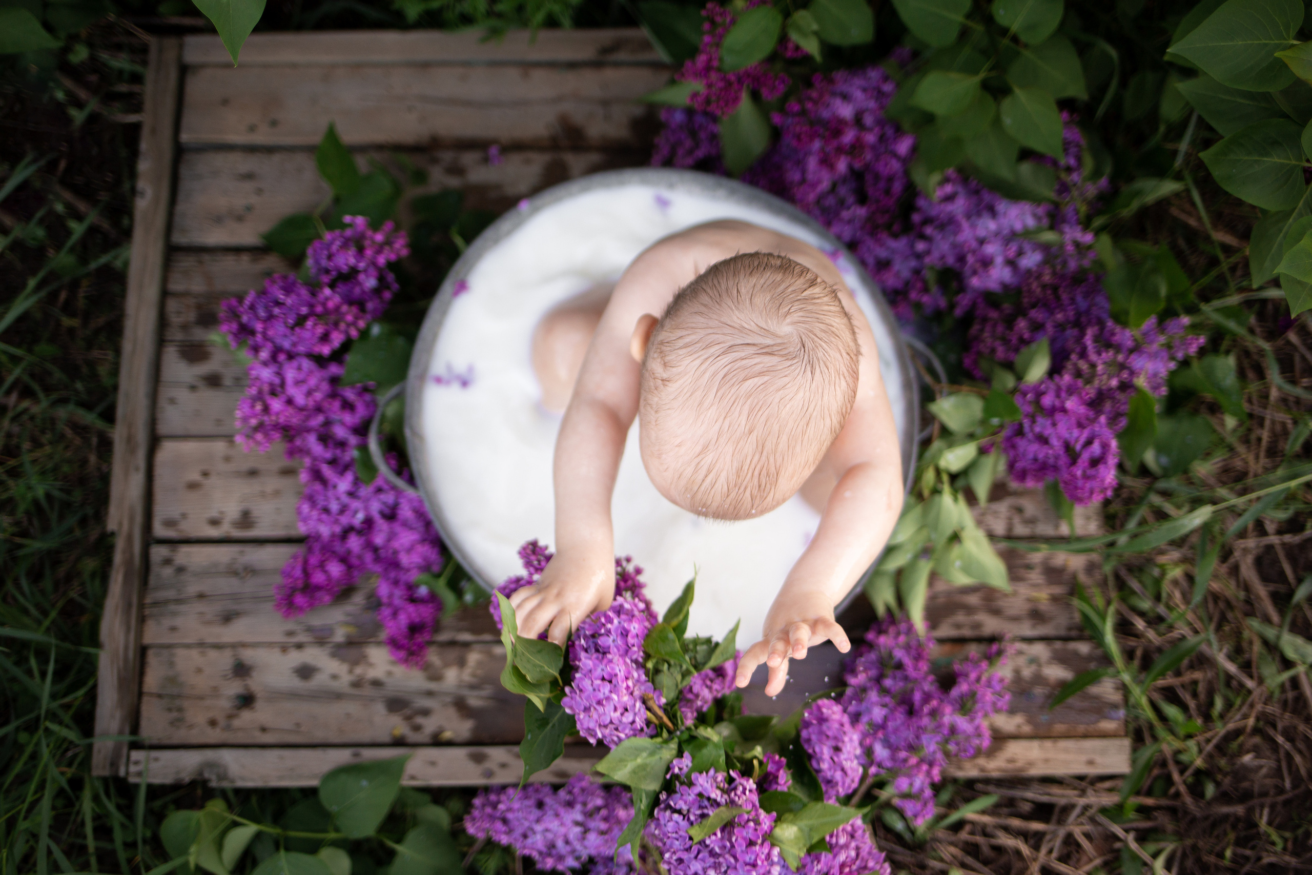 Алиса в сирени. Анна Демидец — фотограф и маркетолог в Новошахтинске, Шахтах и Ростове-на-Дону