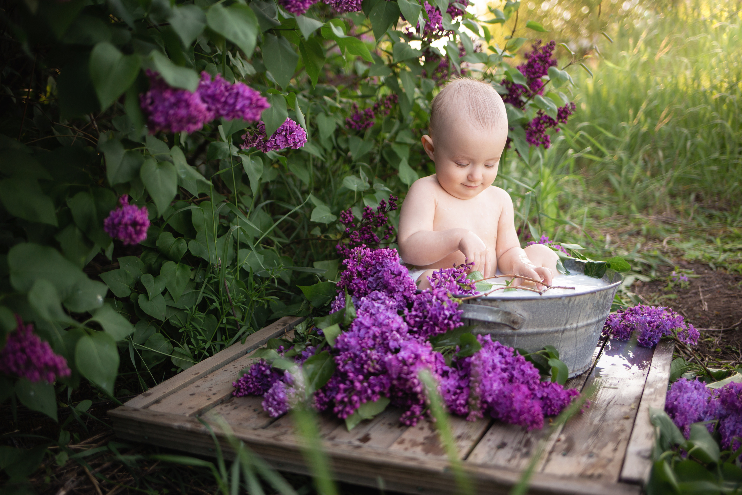 Алиса в сирени. Анна Демидец — фотограф и маркетолог в Новошахтинске, Шахтах и Ростове-на-Дону