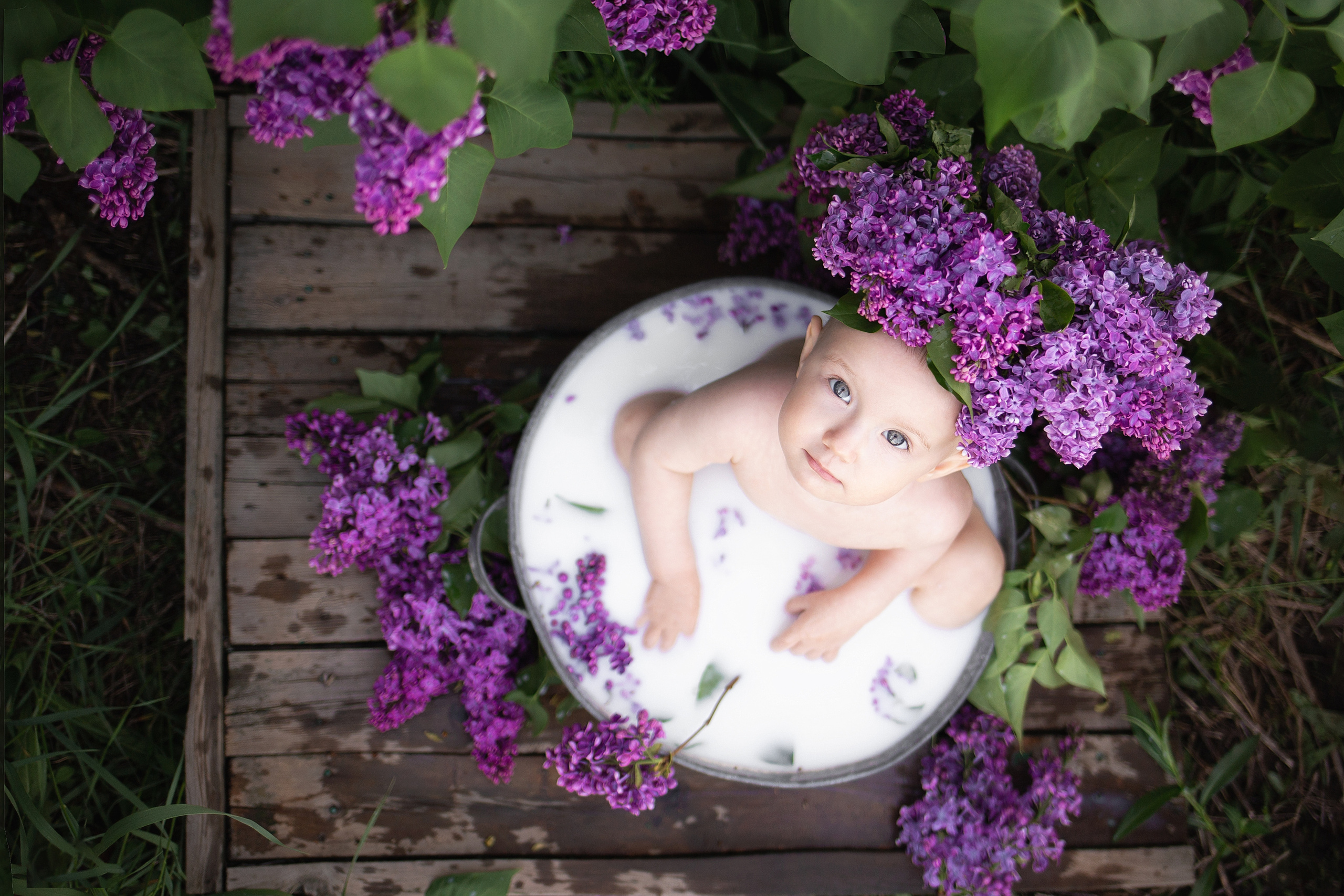 Алиса в сирени. Анна Демидец — фотограф и маркетолог в Новошахтинске, Шахтах и Ростове-на-Дону
