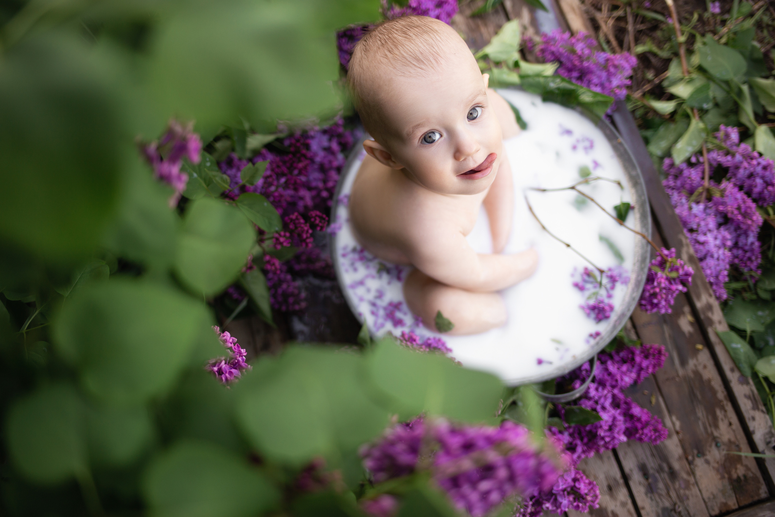 Алиса в сирени. Анна Демидец — фотограф и маркетолог в Новошахтинске, Шахтах и Ростове-на-Дону