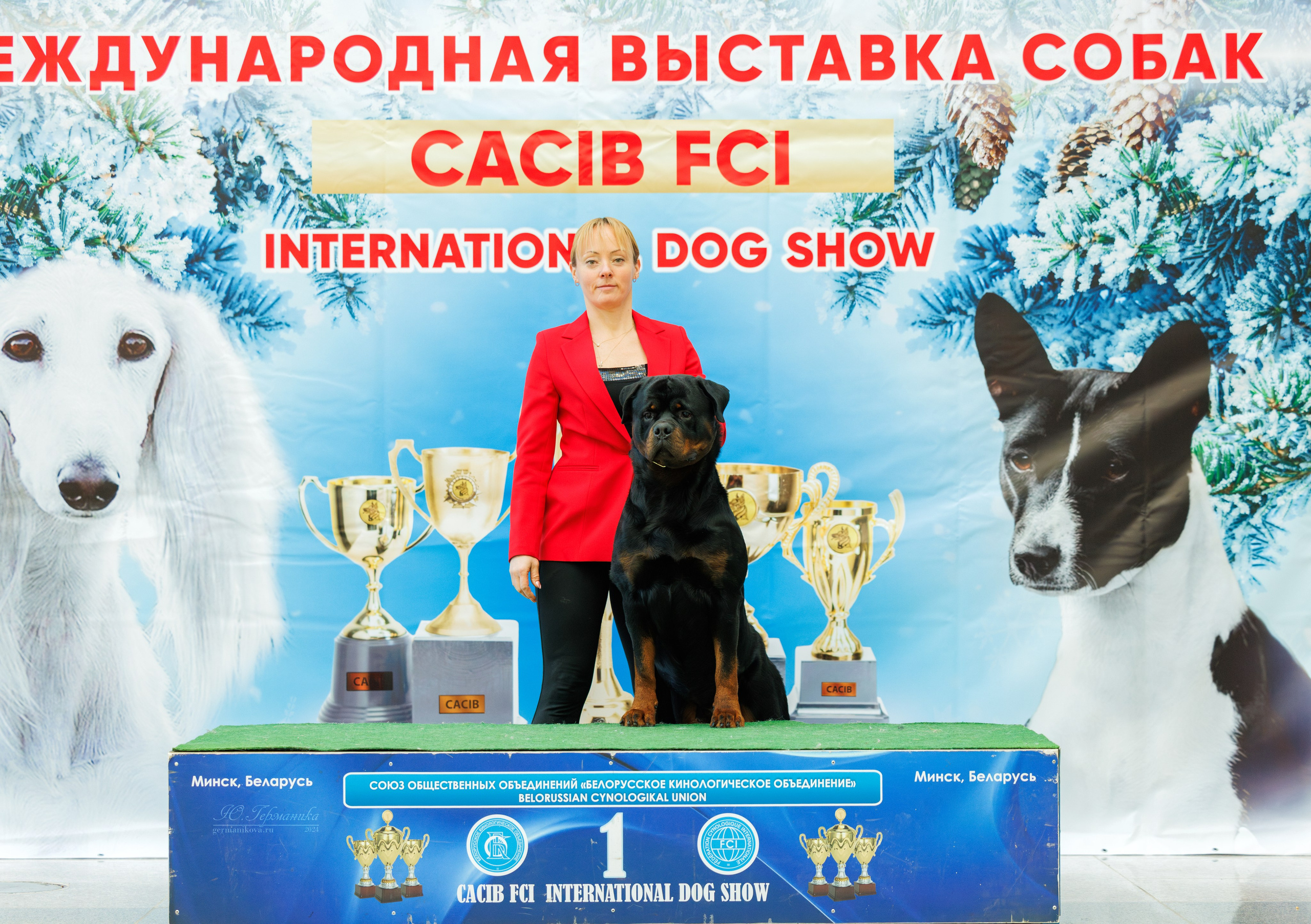 Минск 23.11.2024. Фотограф-анималист Юлия Германика