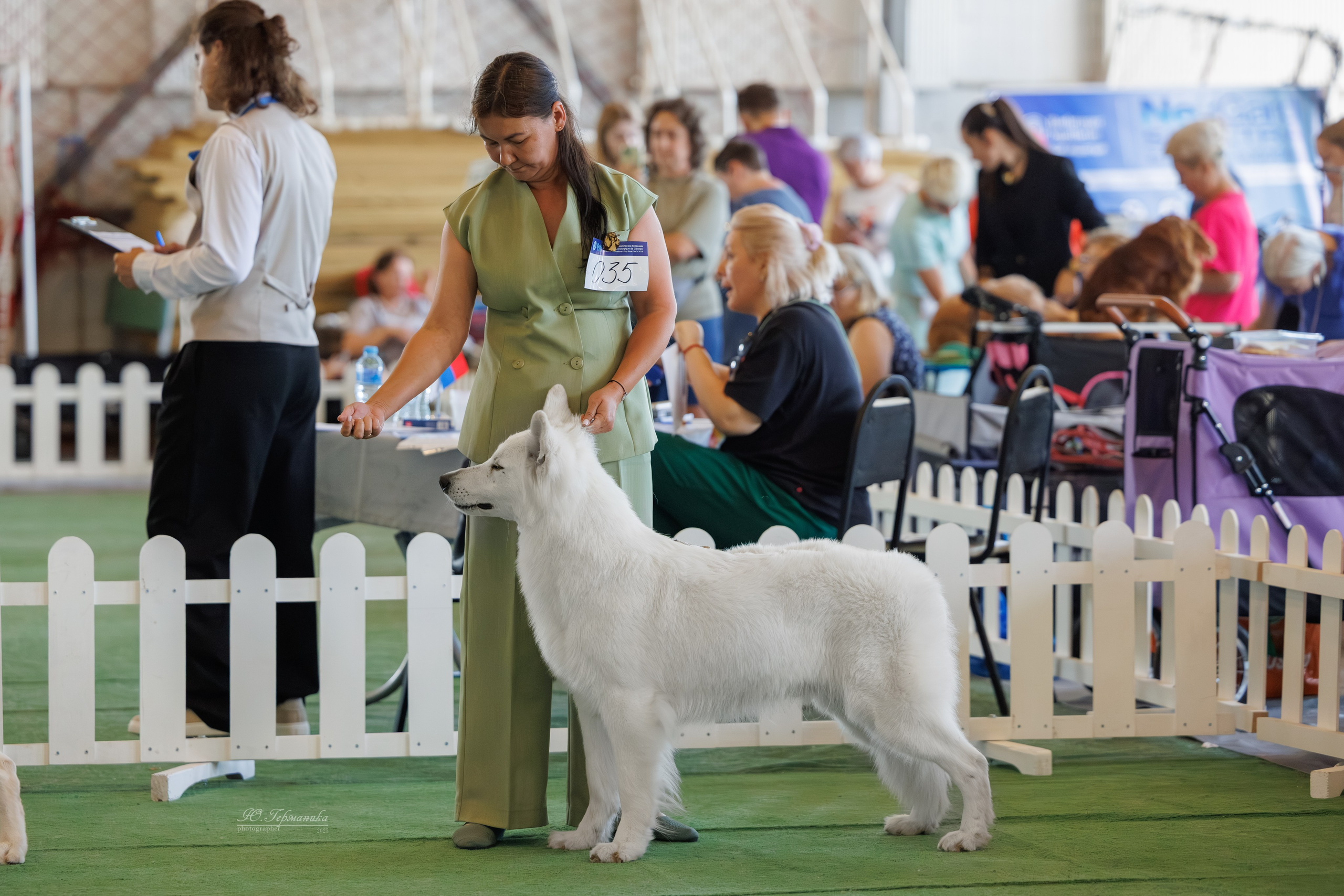 Батуми 3хCACIB 27-29.06.2025. Фотограф-анималист Юлия Германика