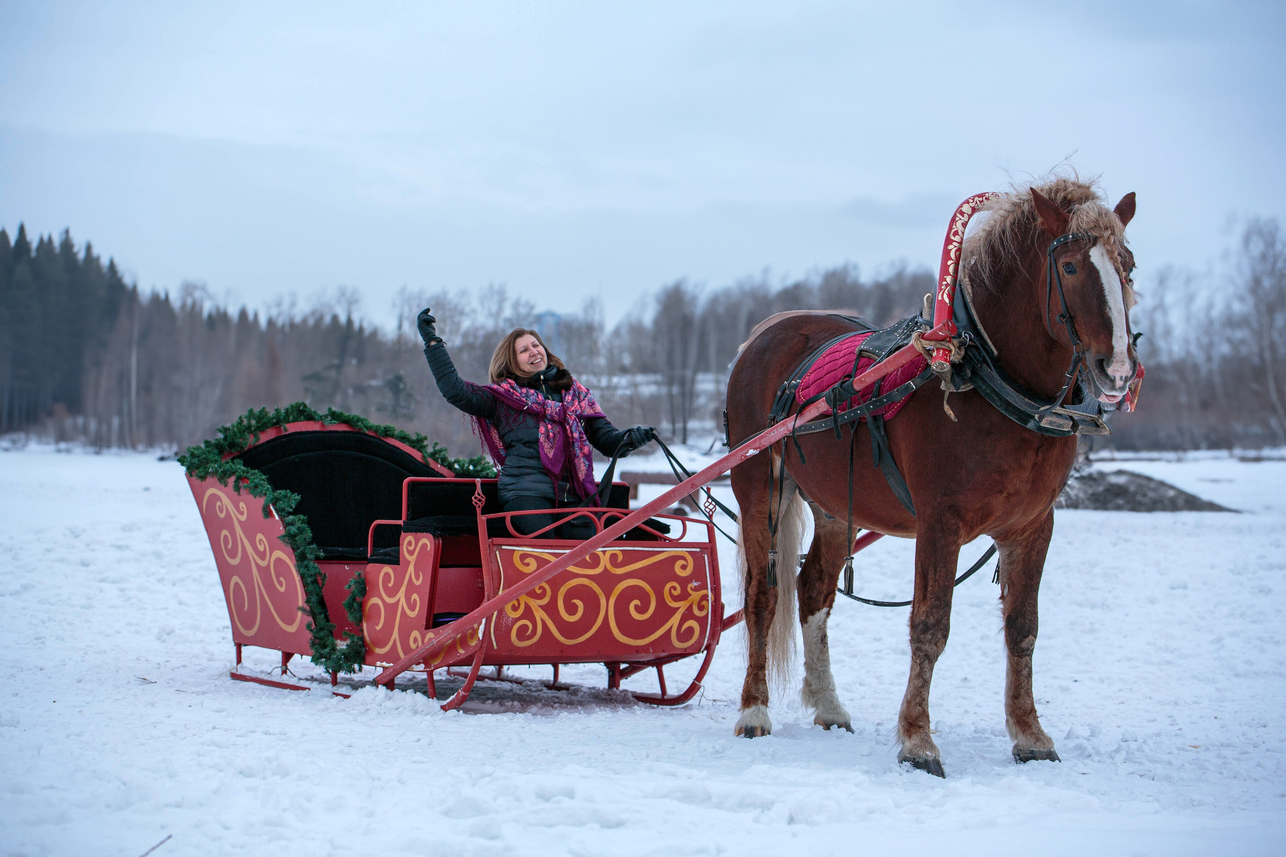 Карета 24. Конный фотограф в Красноярске — Любовь Похабова