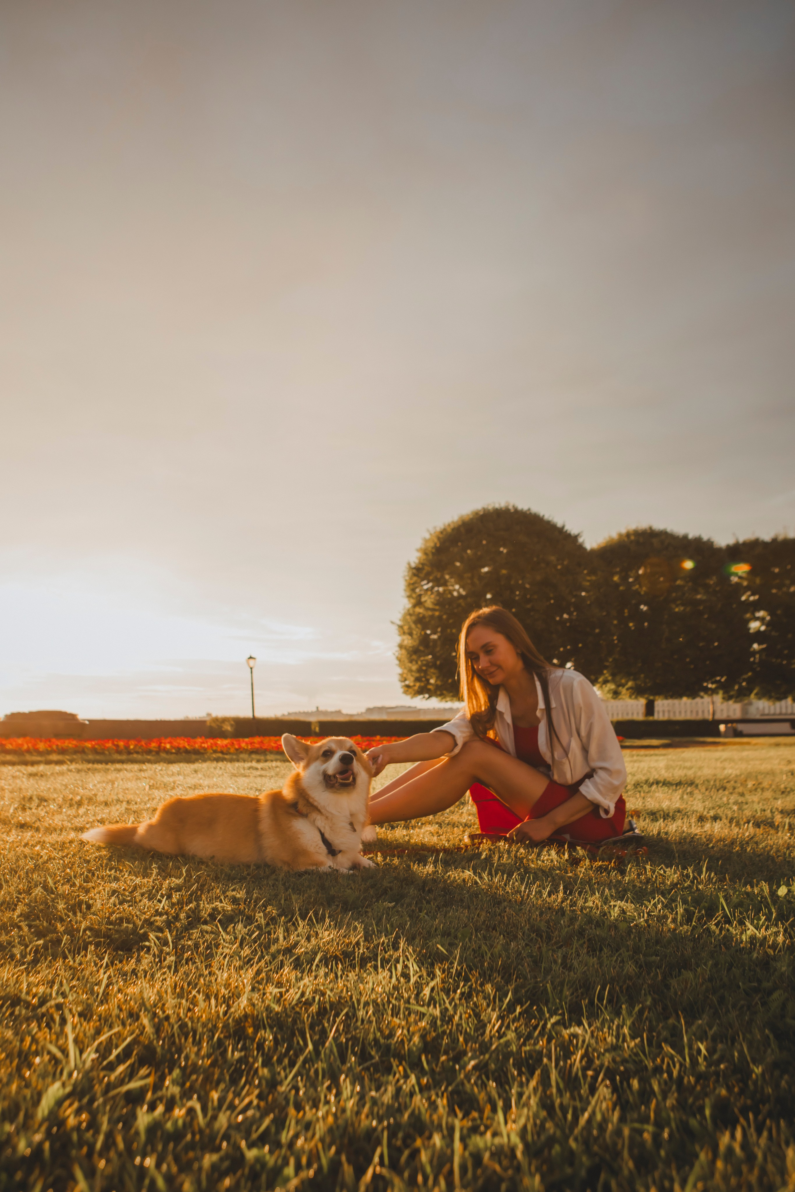 Настя и Стёпа. Фотограф-анималист в Санкт-Петербурге Алина Яхонт