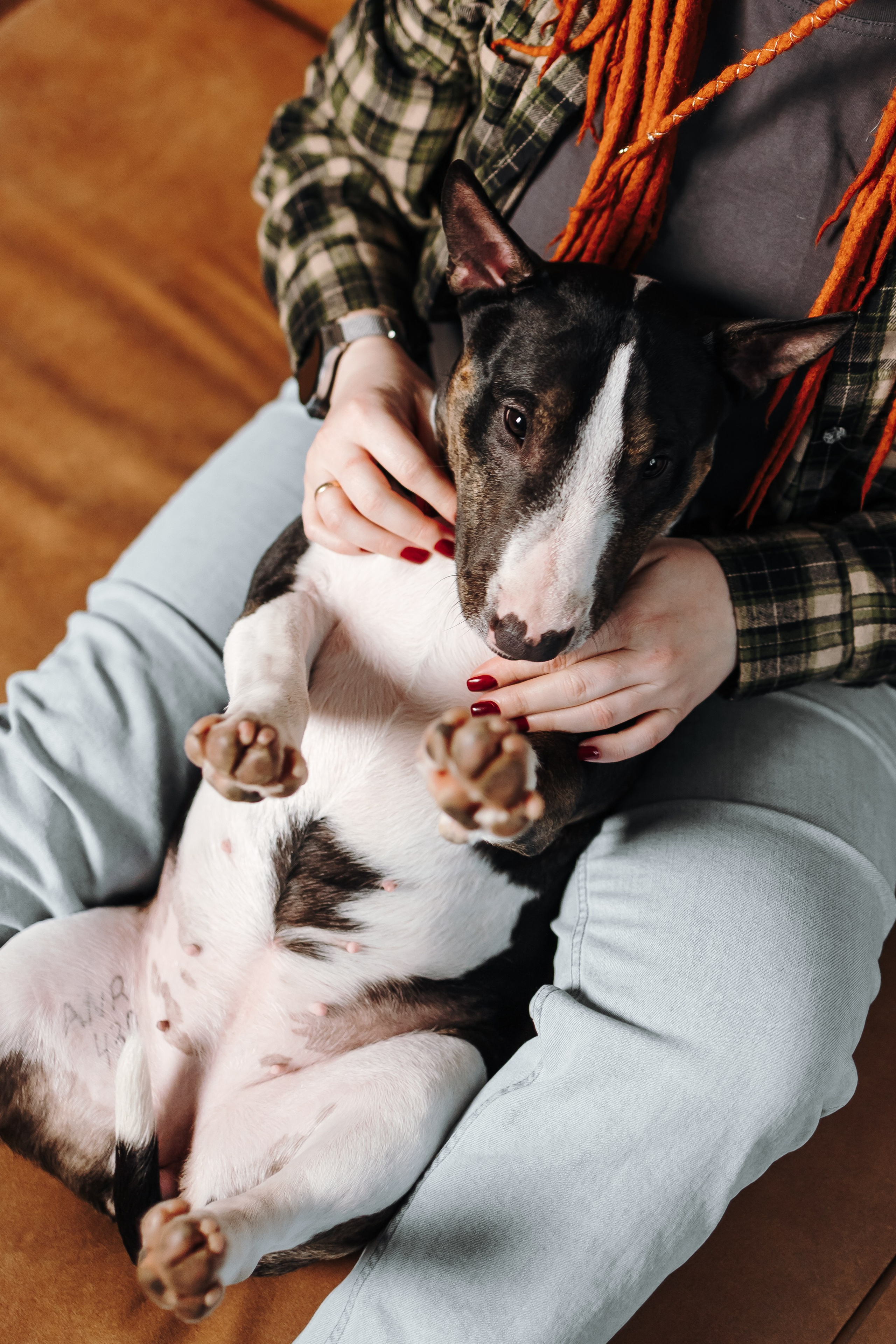 Груминг. Фотограф-анималист в Санкт-Петербурге Алина Яхонт