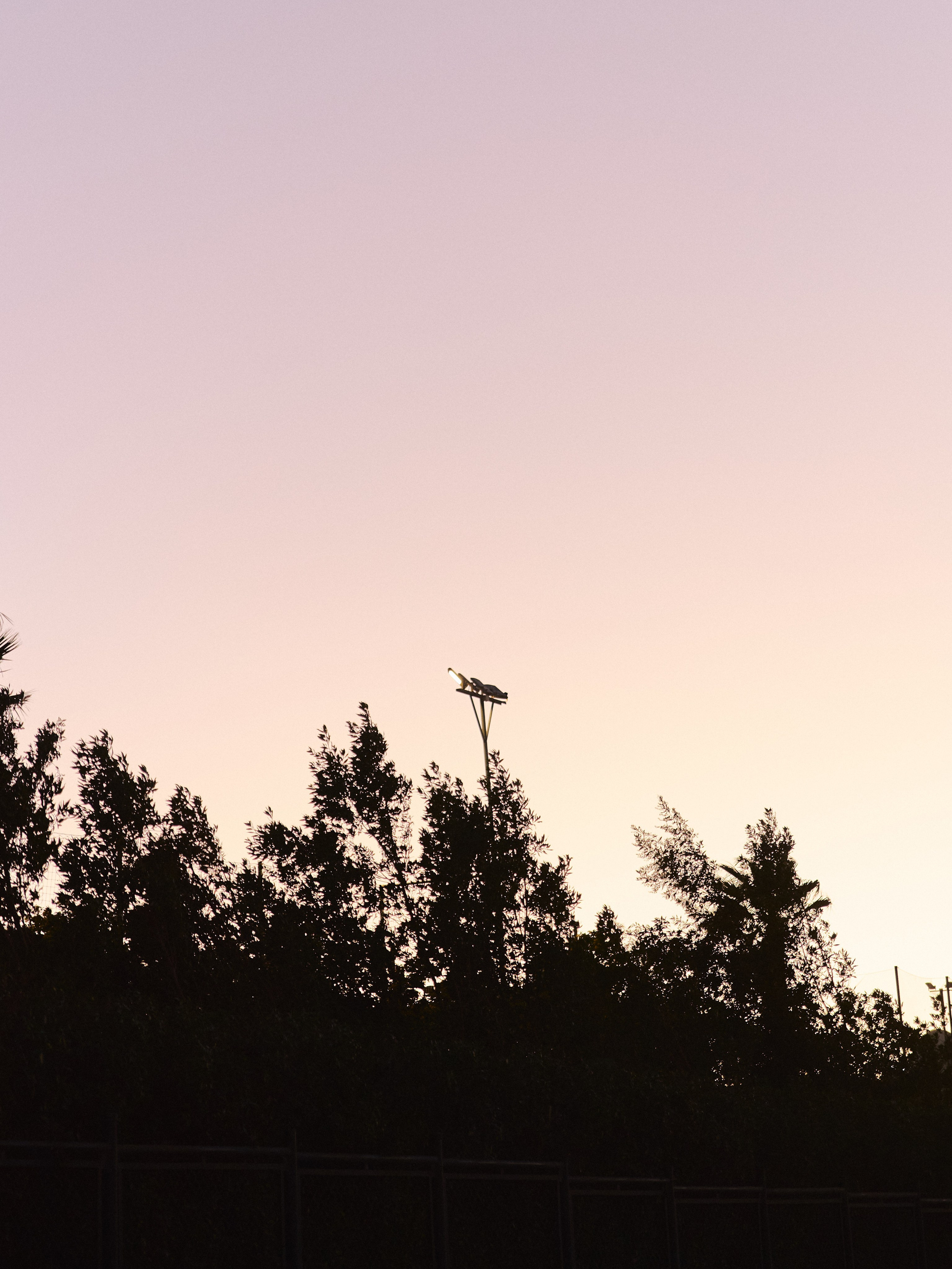 Другое 2. Jorgis Talè — photographer, kind person, teacher of arts and other mag