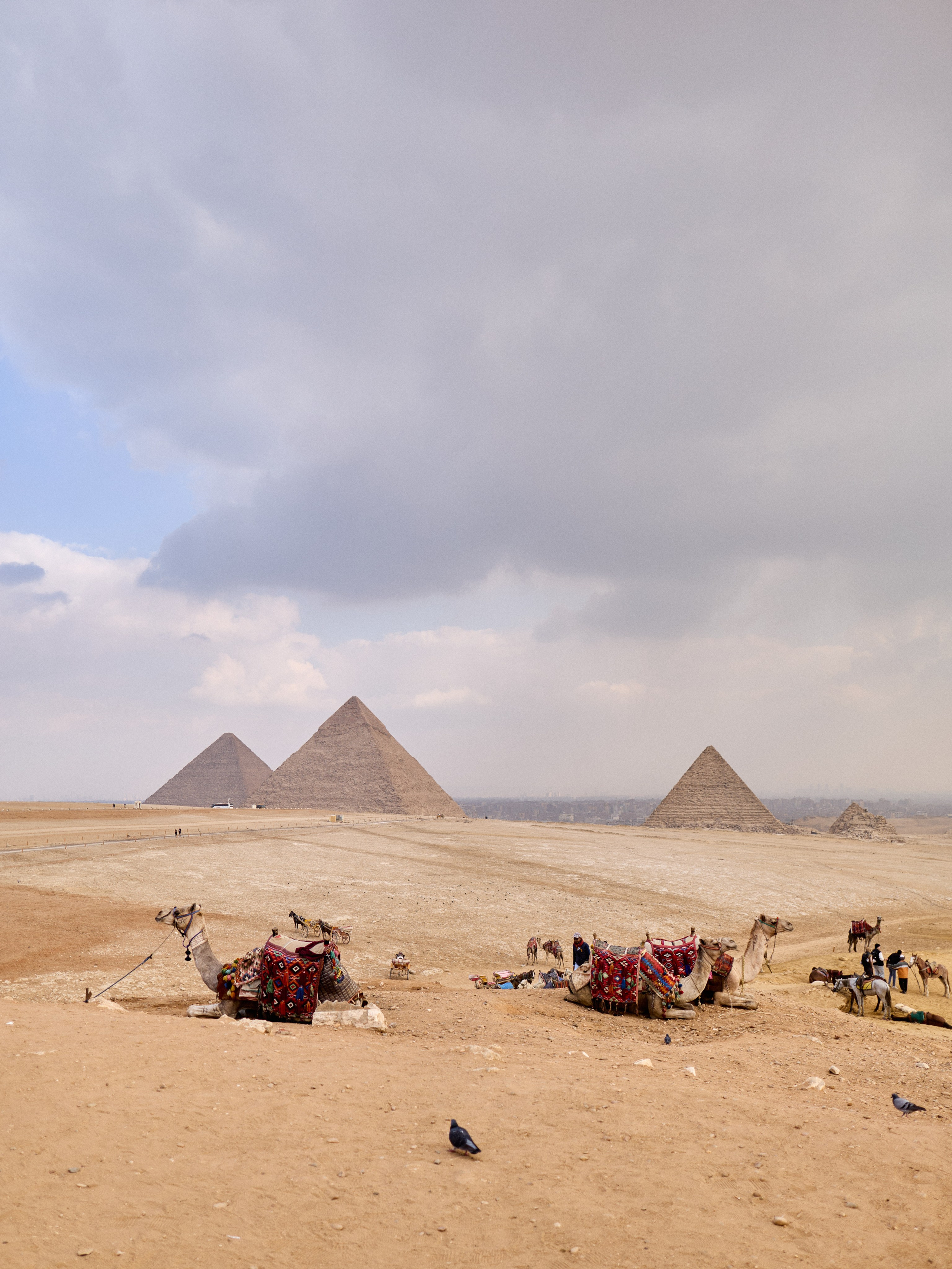 Другое 4. Jorgis — фотограф в Хургаде / обучение фотографии