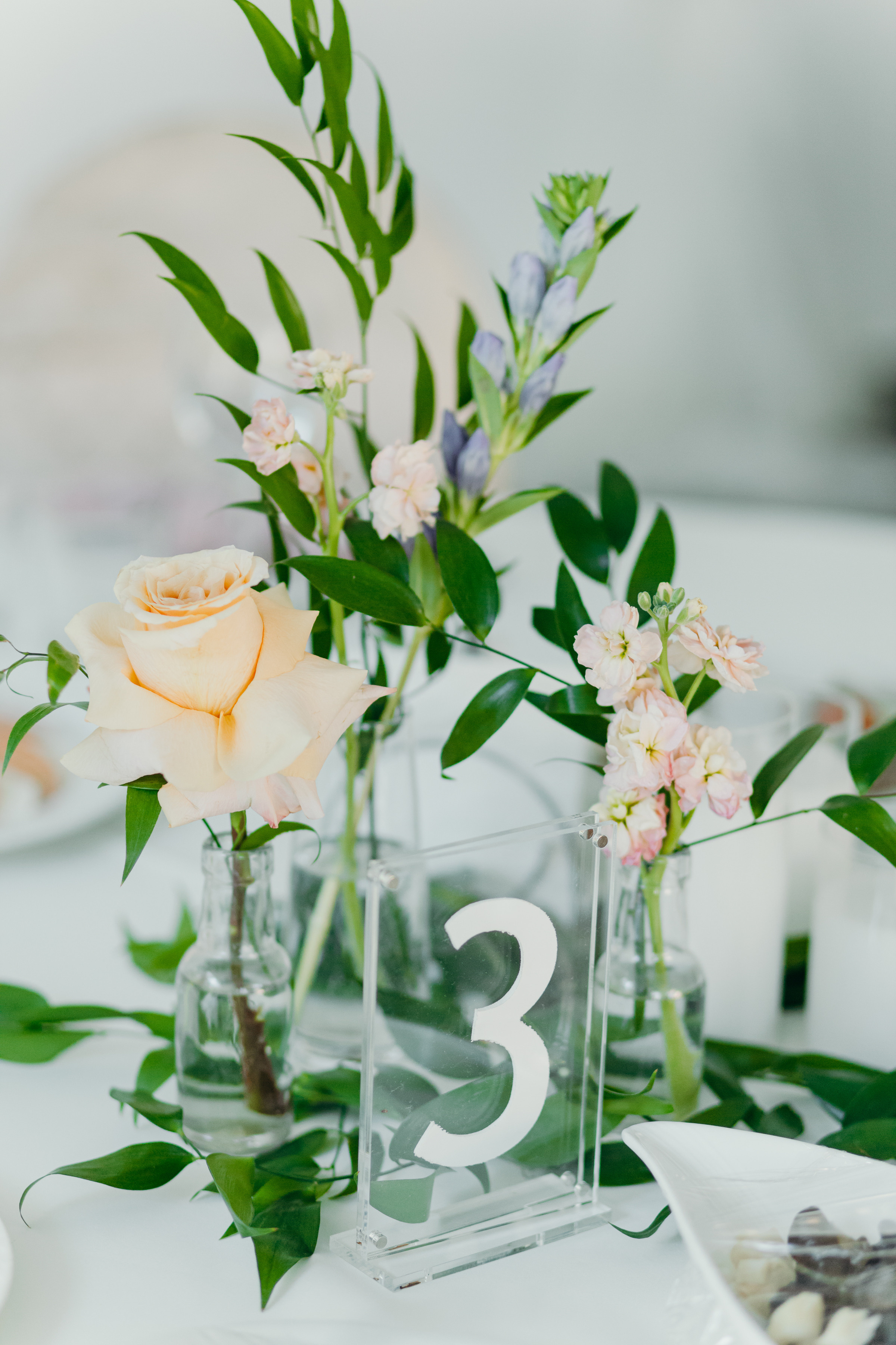 Свадьба Андрей & Алена. Ведущий на свадьбу юбилей корпоратив в Москве и МО Светлана Винокурова