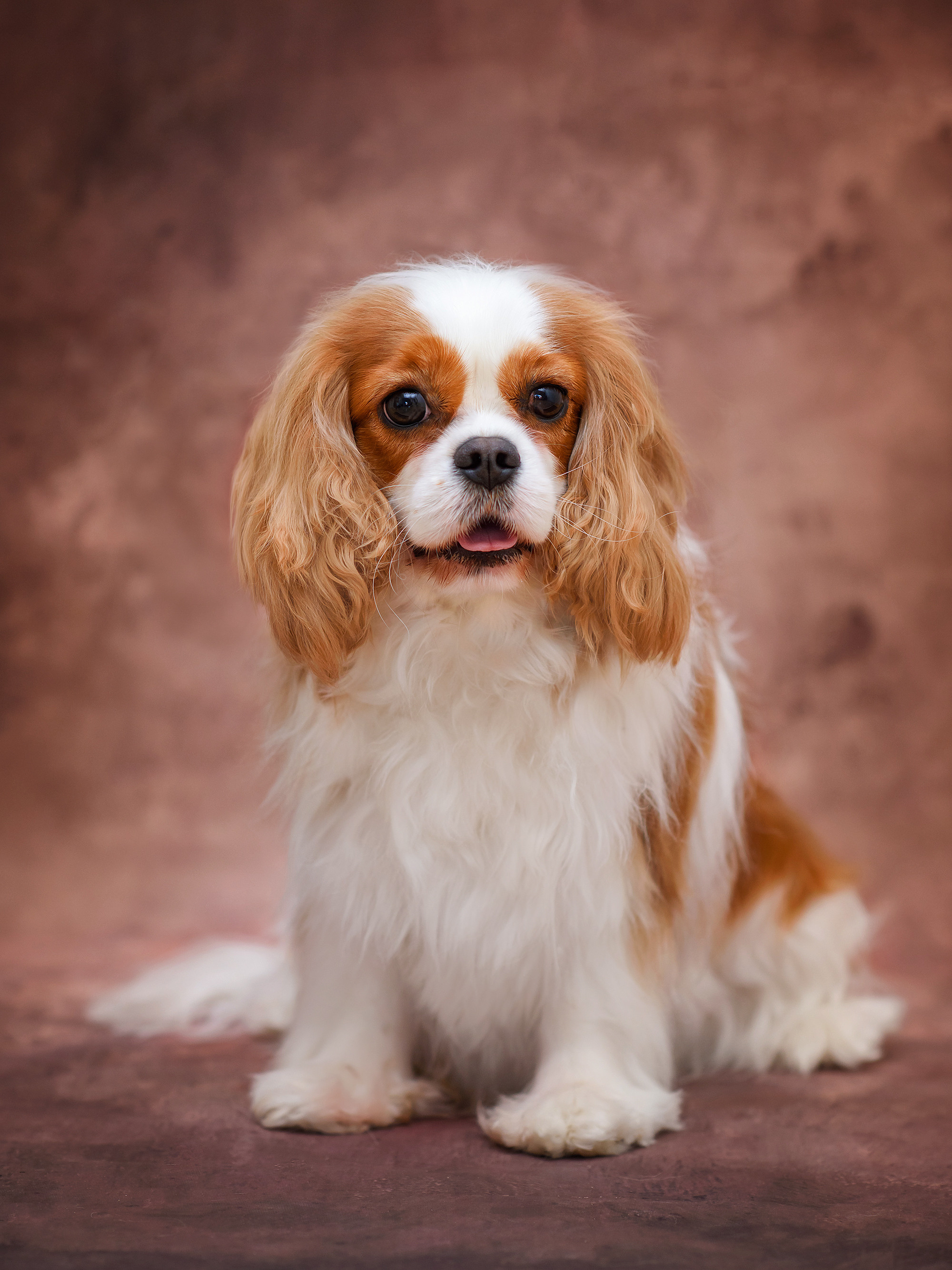 Животные. Семейный фотограф в Минске Виктория Дубровская