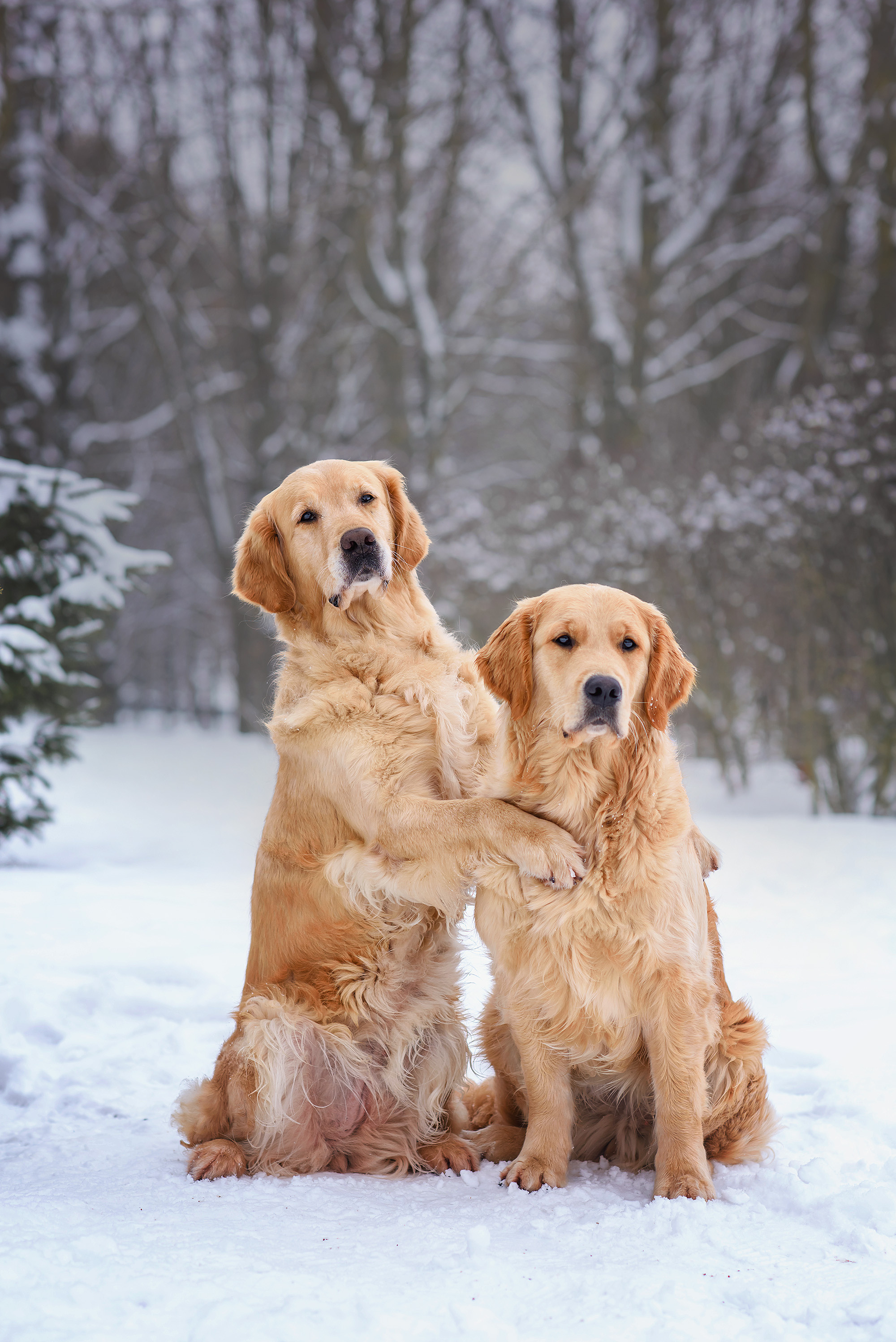 Животные. Семейный фотограф в Минске Виктория Дубровская