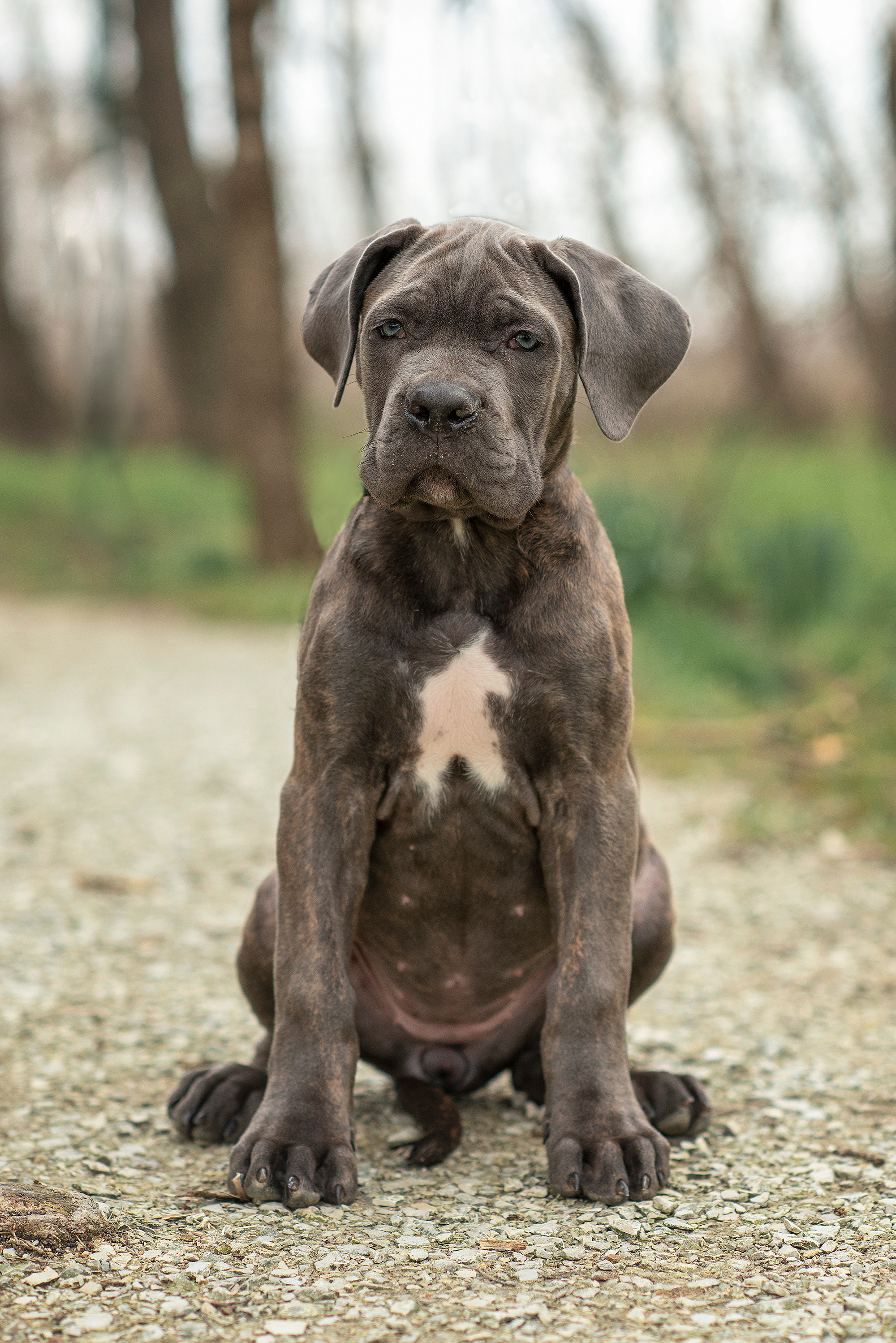 Животные. Семейный фотограф в Минске Виктория Дубровская