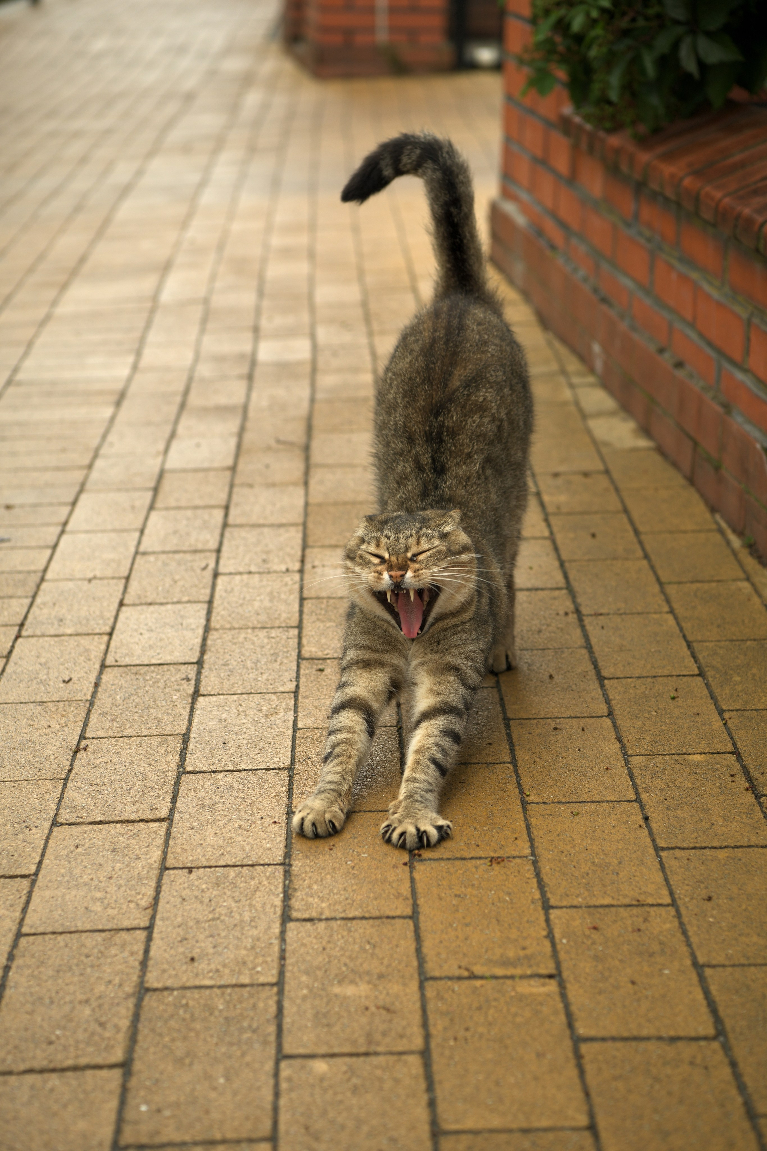 Калининград. Сергей Люльченко фотоальбом