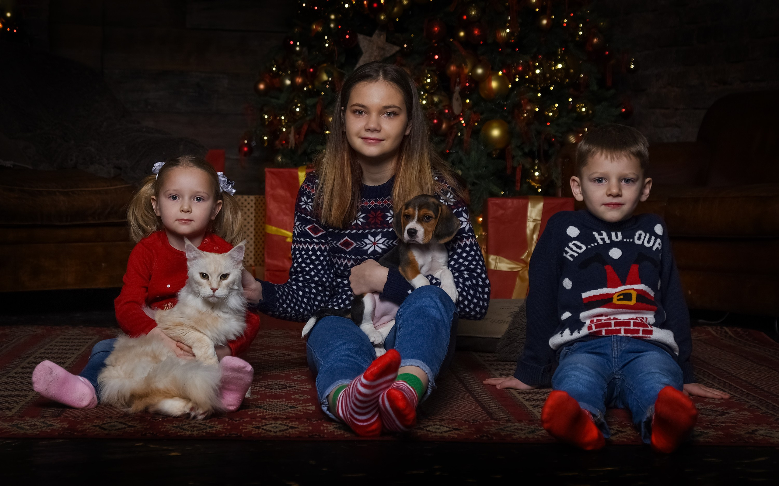 Съемка в фотостудии. Конный фотограф из Москвы Ирина Бондаркова