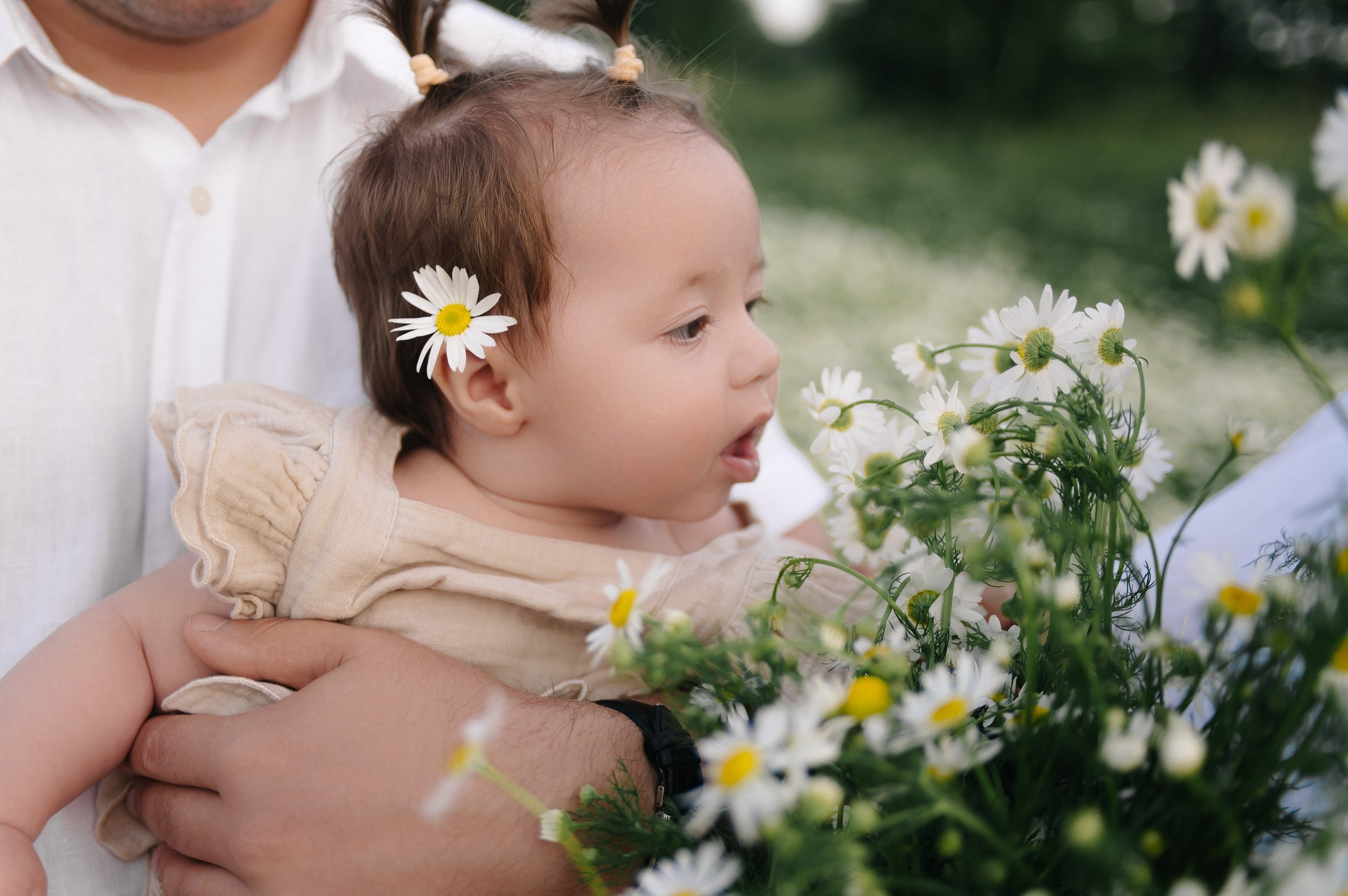 Ромашки. Свадебный, семейный, личный, репортажный фотограф в Челябинске 📸