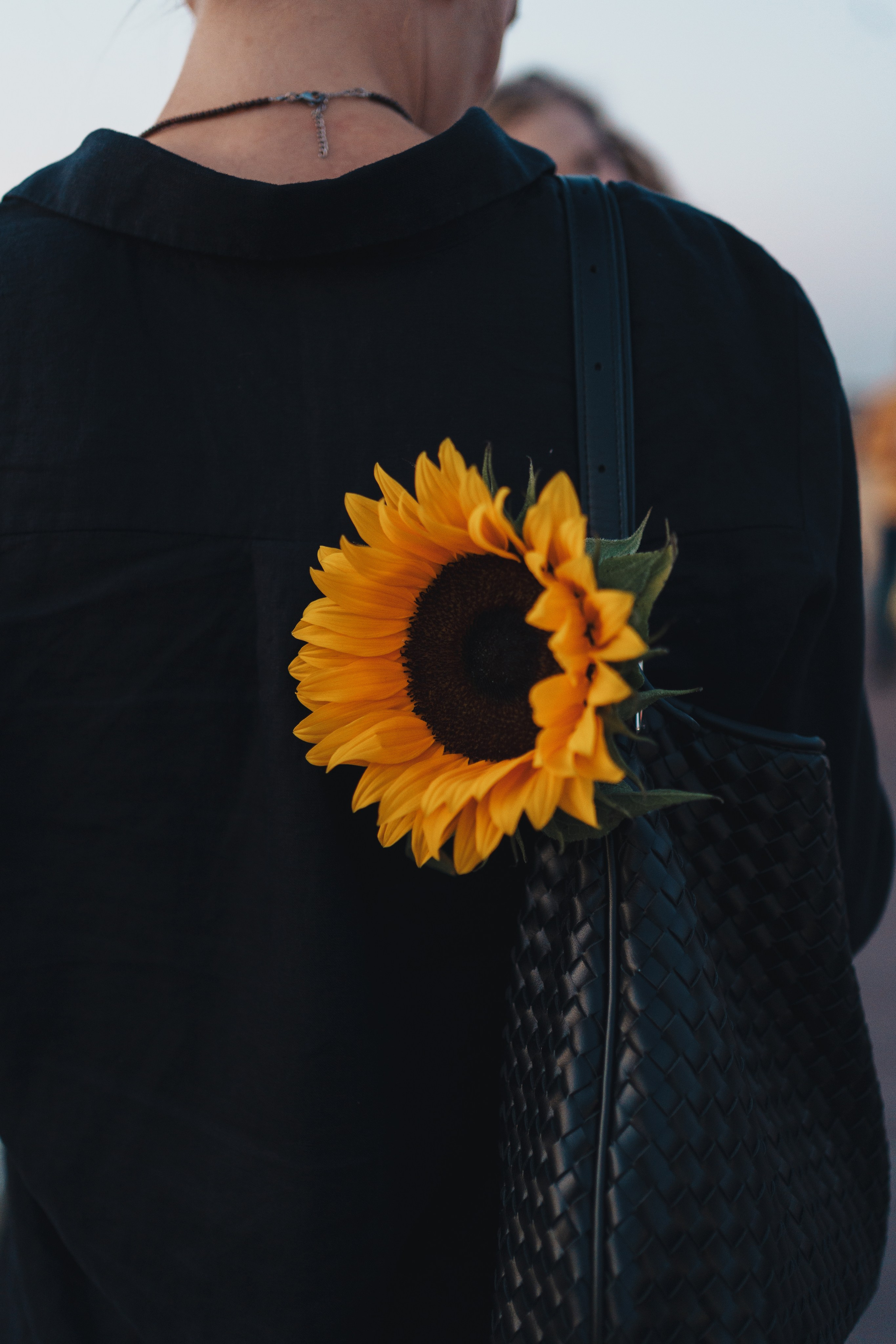 Выставка на крыше Парка Горького. Семейный и детский фотограф и видеограф в Москве, Серпухове и Тарусе Валерия Сорокина