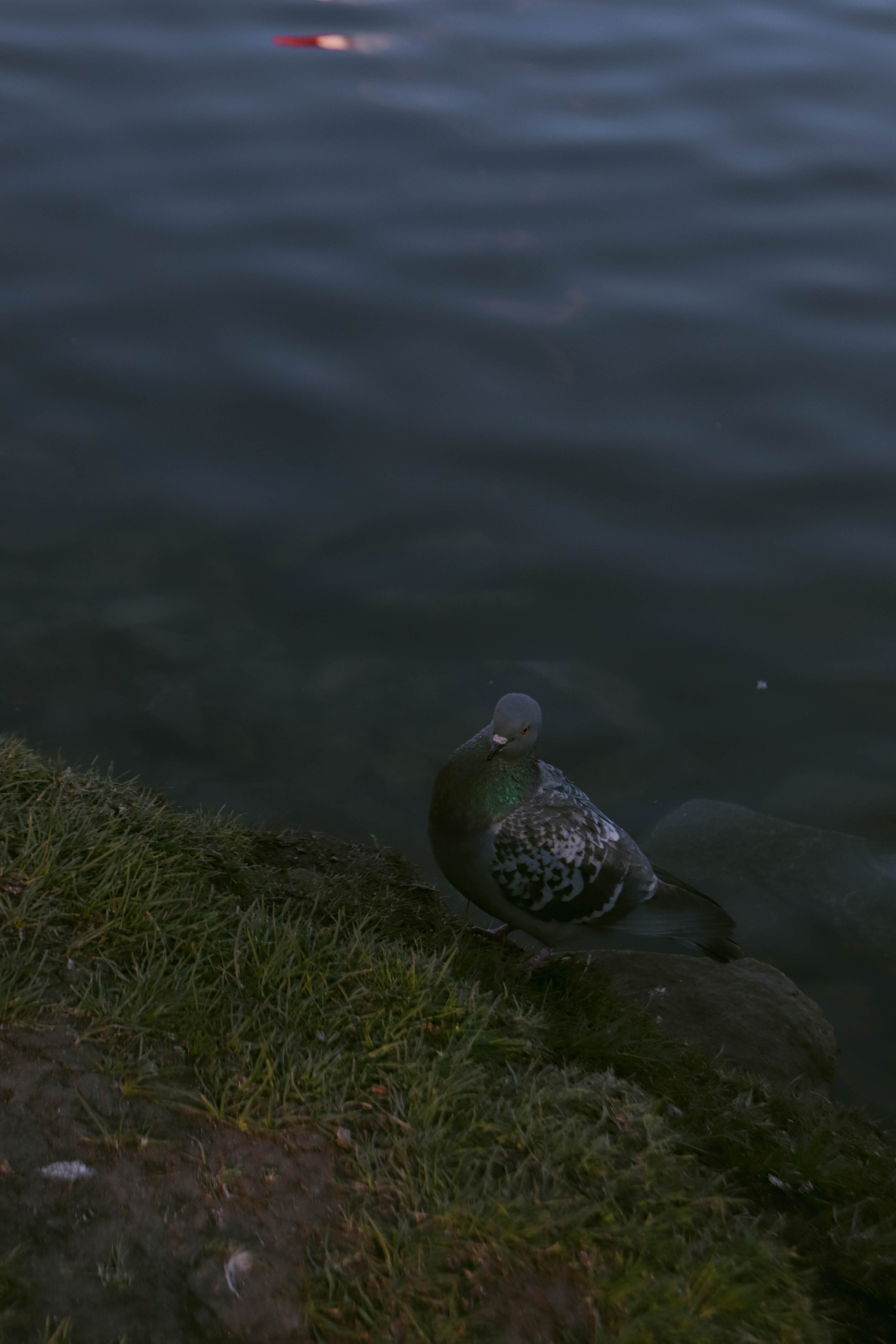 Альметьевск. Фотограф и видеограф в Бугульме Аня Трутнева