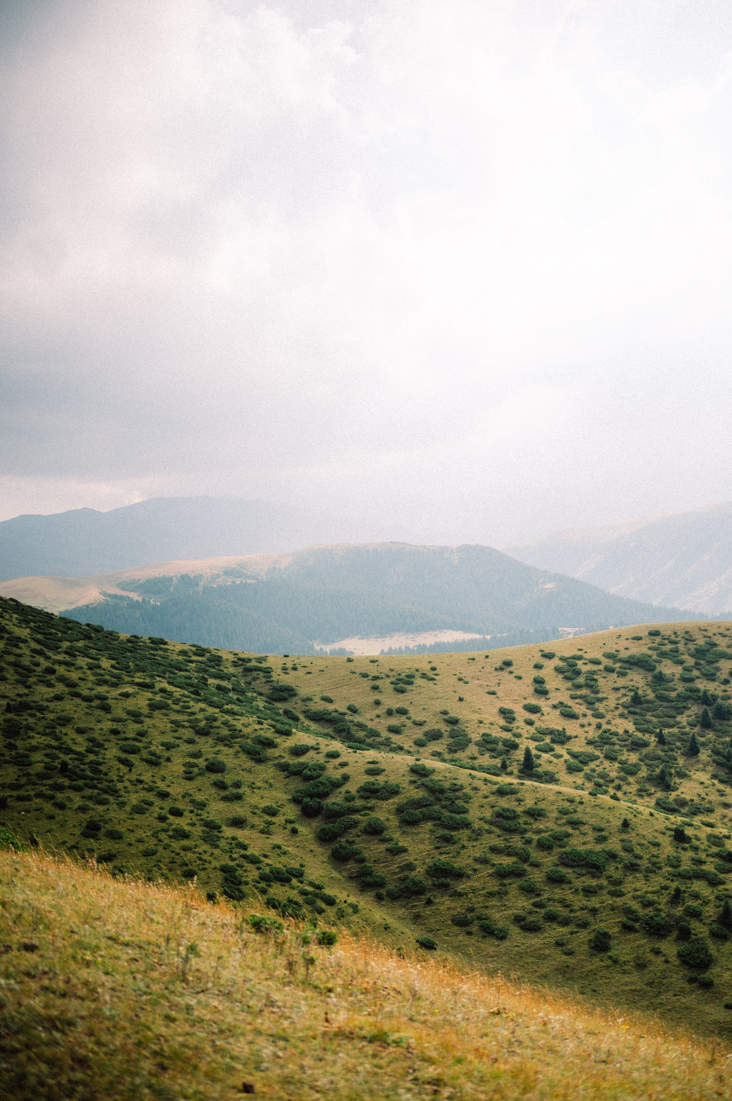 Плато Ассы: июль 2025. Фотограф в Алматы — Дарья Фёдорова