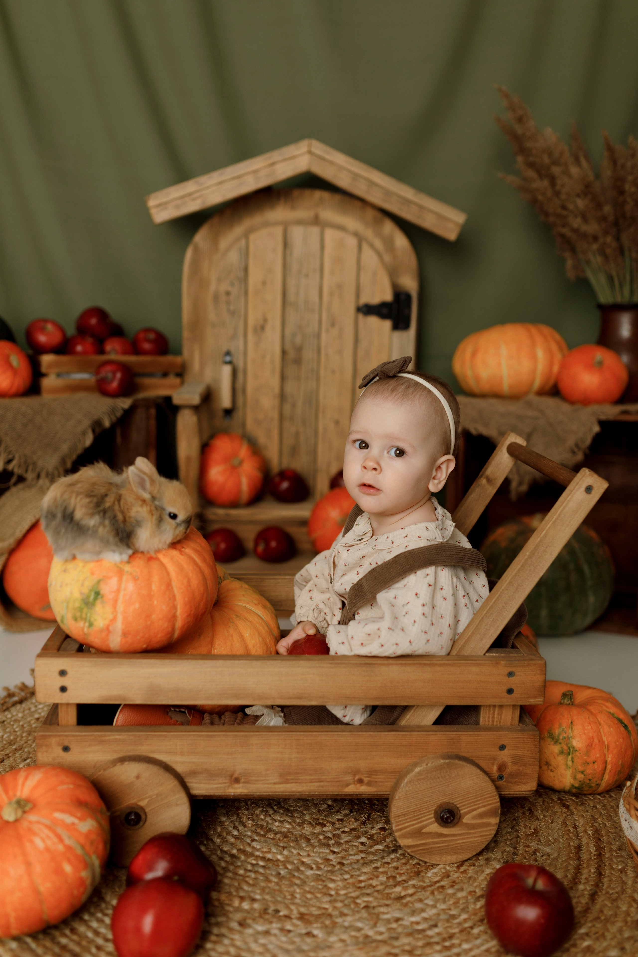 Фотопроекты. Фотограф новорождённых семейный фотограф Томск Елена Каплина