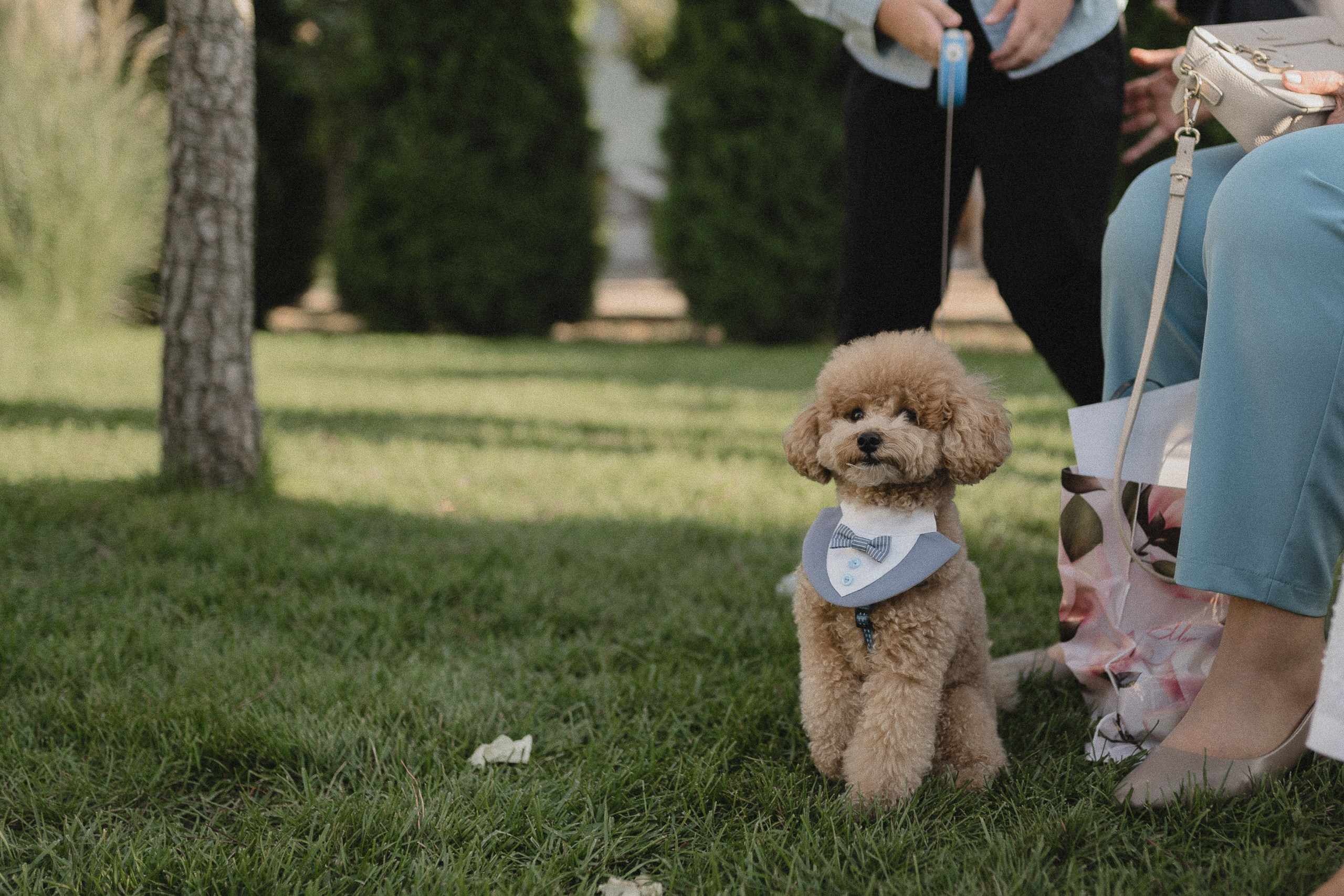 Александр & Виктория. Фотограф в Крыму Романенко Даниил