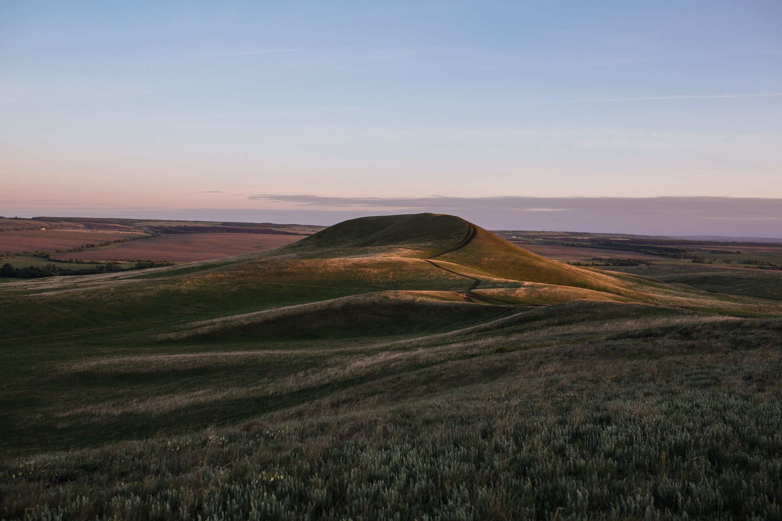 Суходол. Wedding photographer
