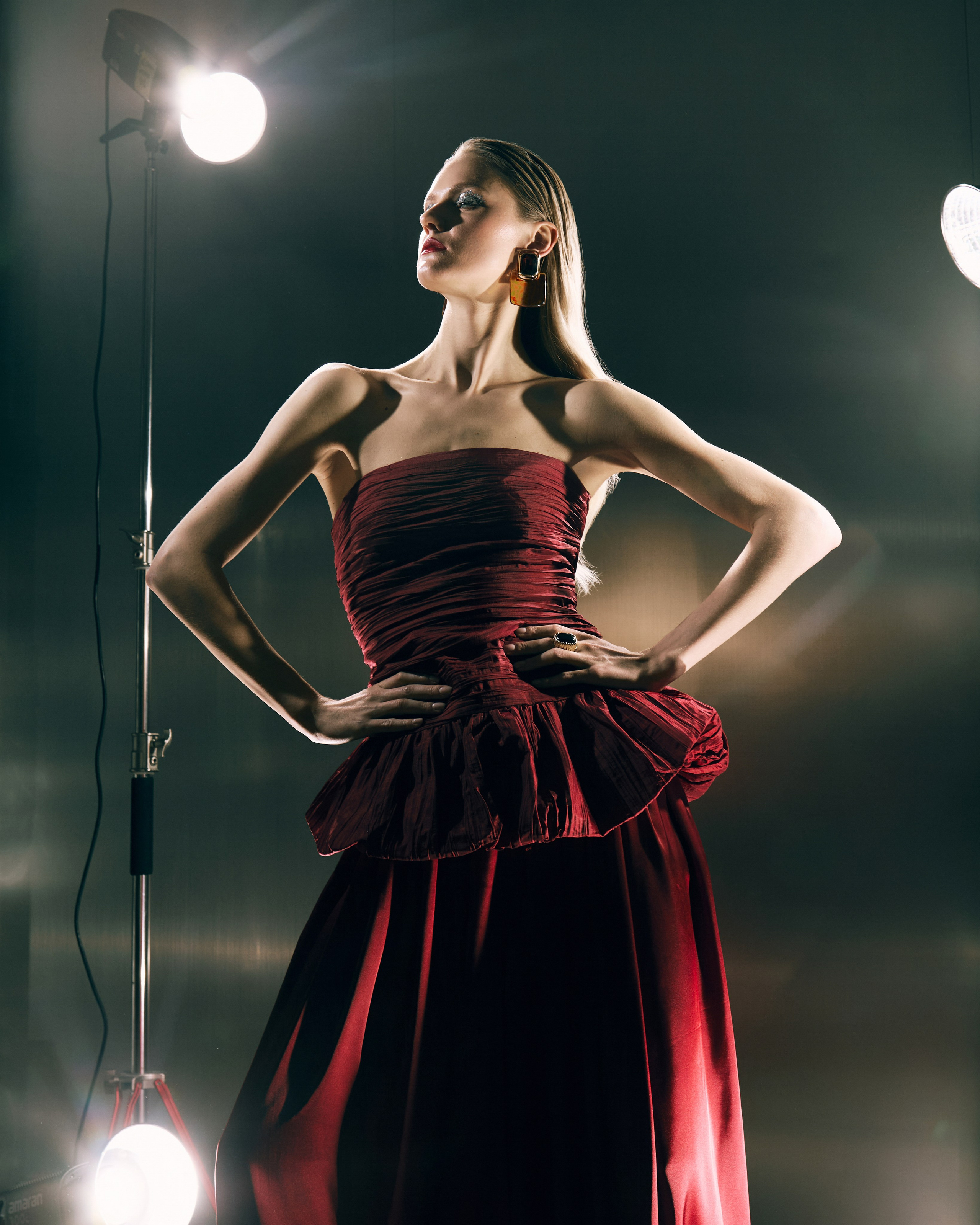 Новогодний МК по свету Ирины Горностаевой. ALtman Pro Foto