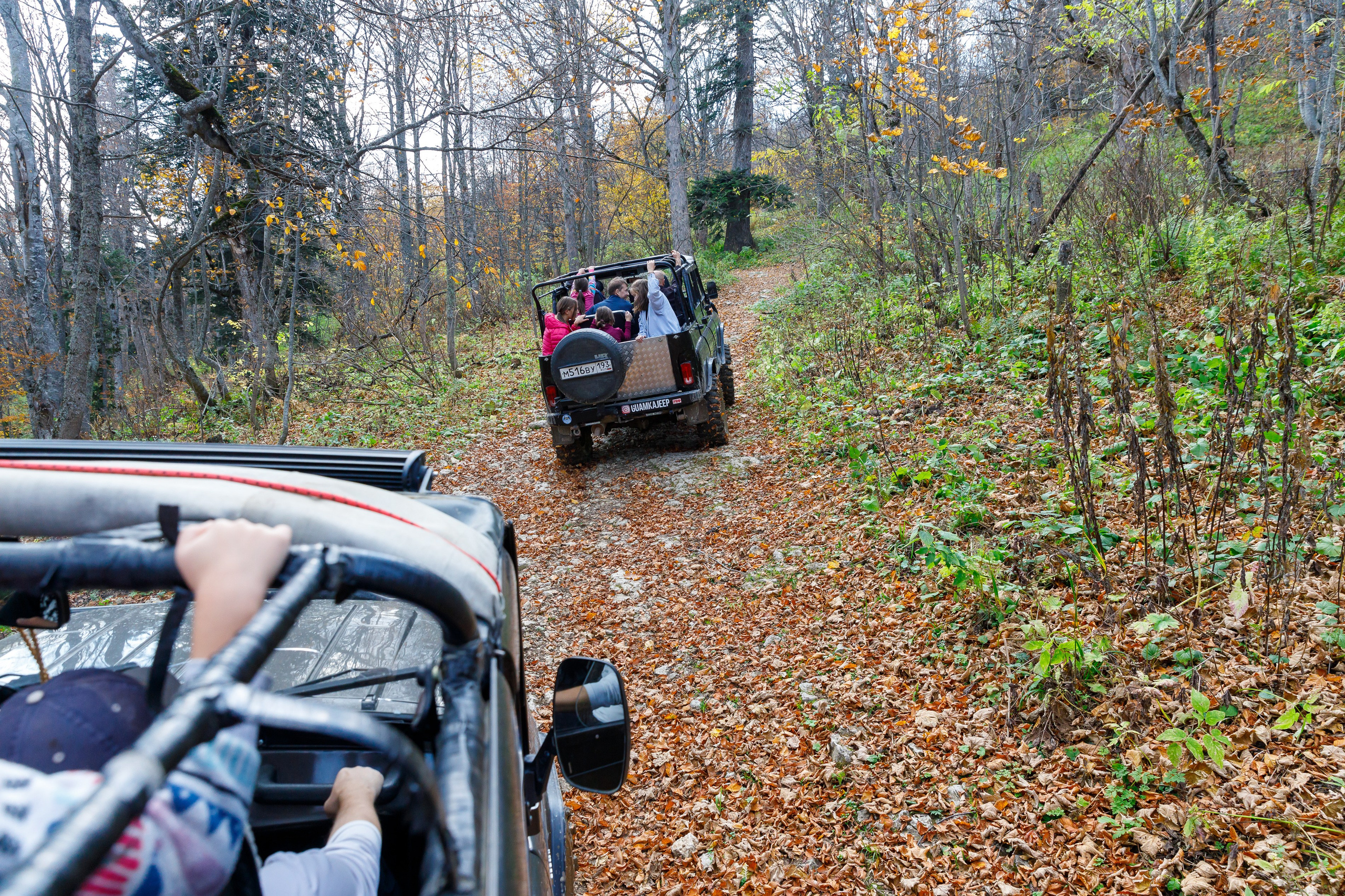 Путешествия