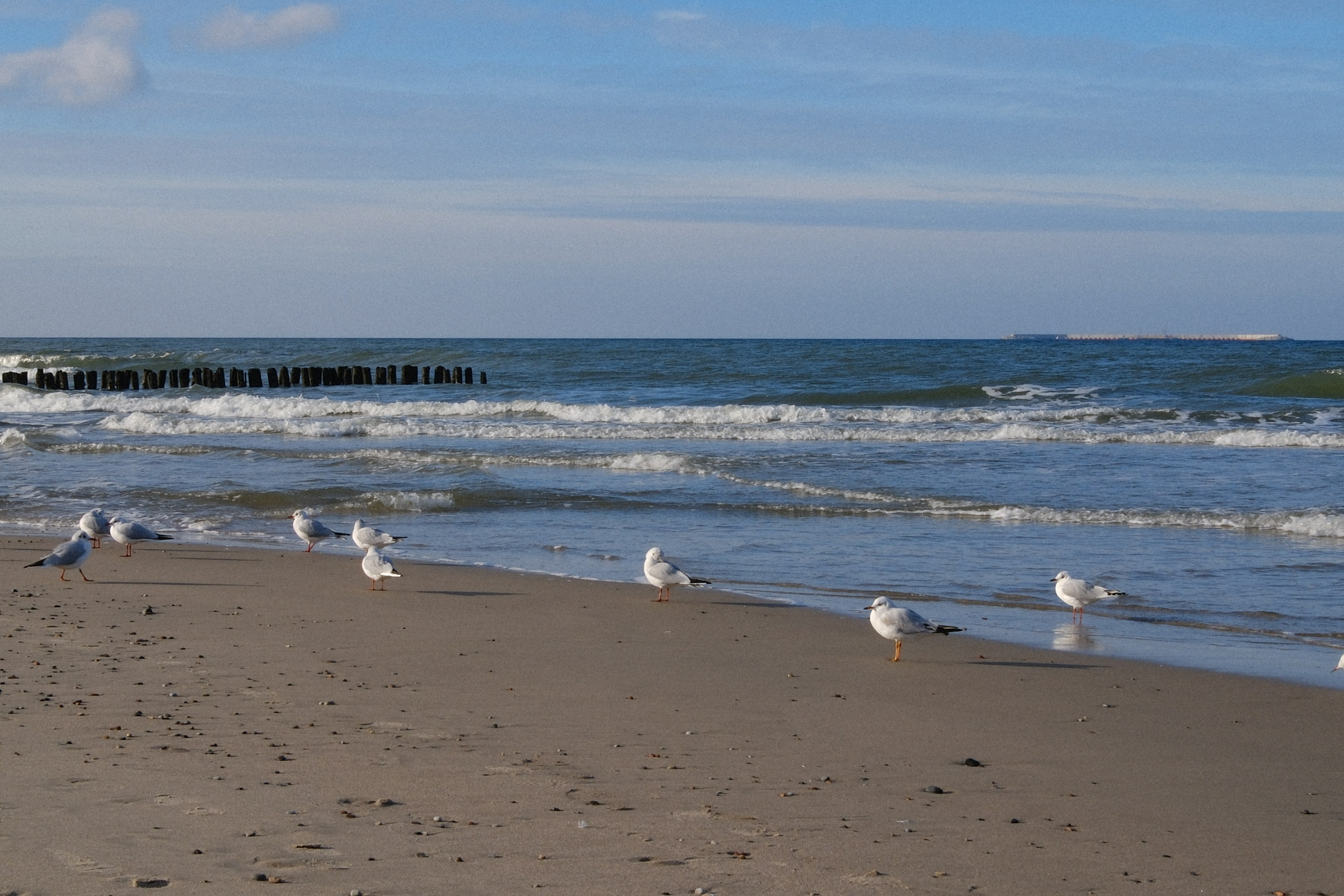 Зеленоградск. Калининградская область. Алексей Торопов фотограф