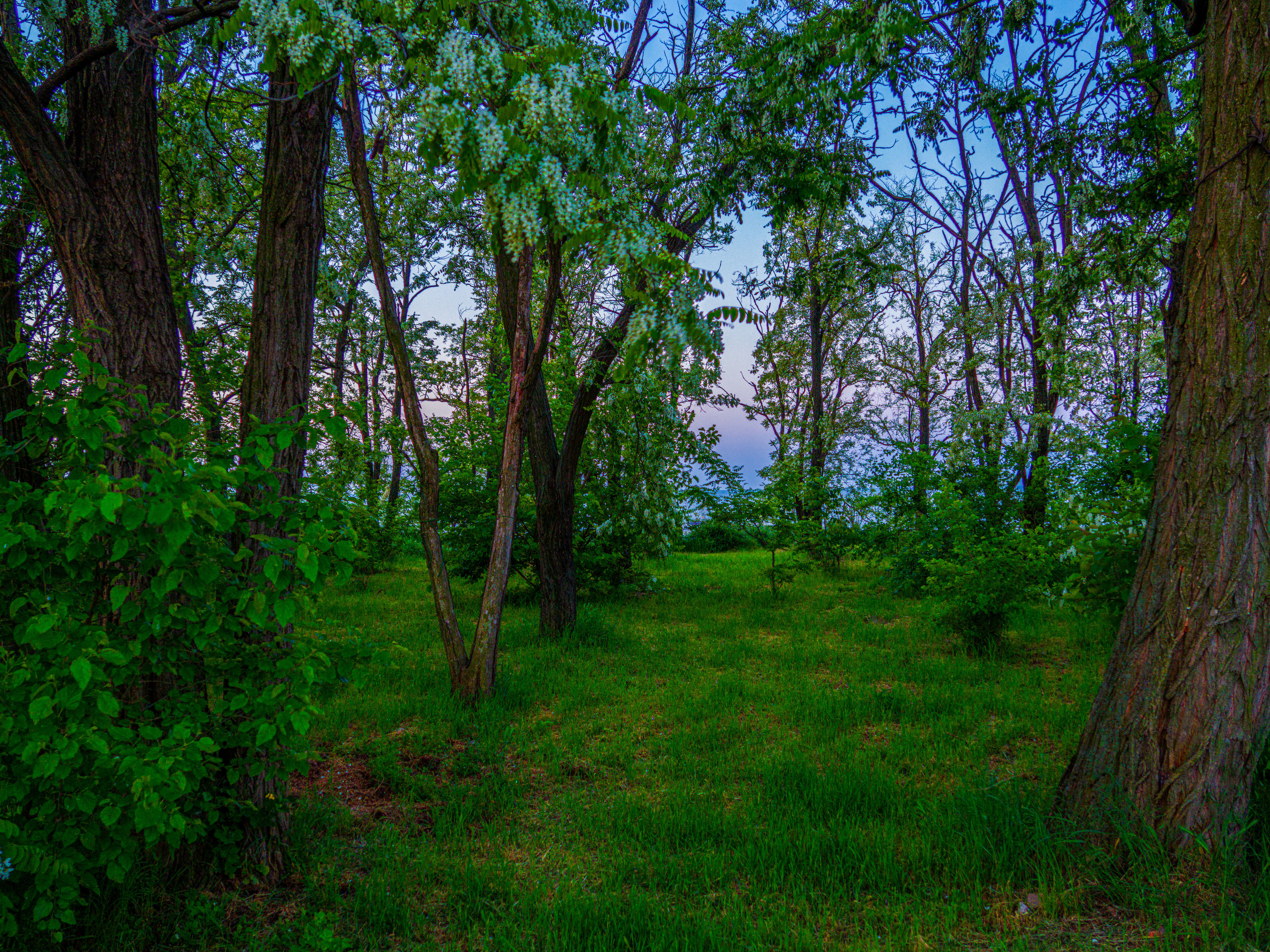 Фото Павла Крайникова