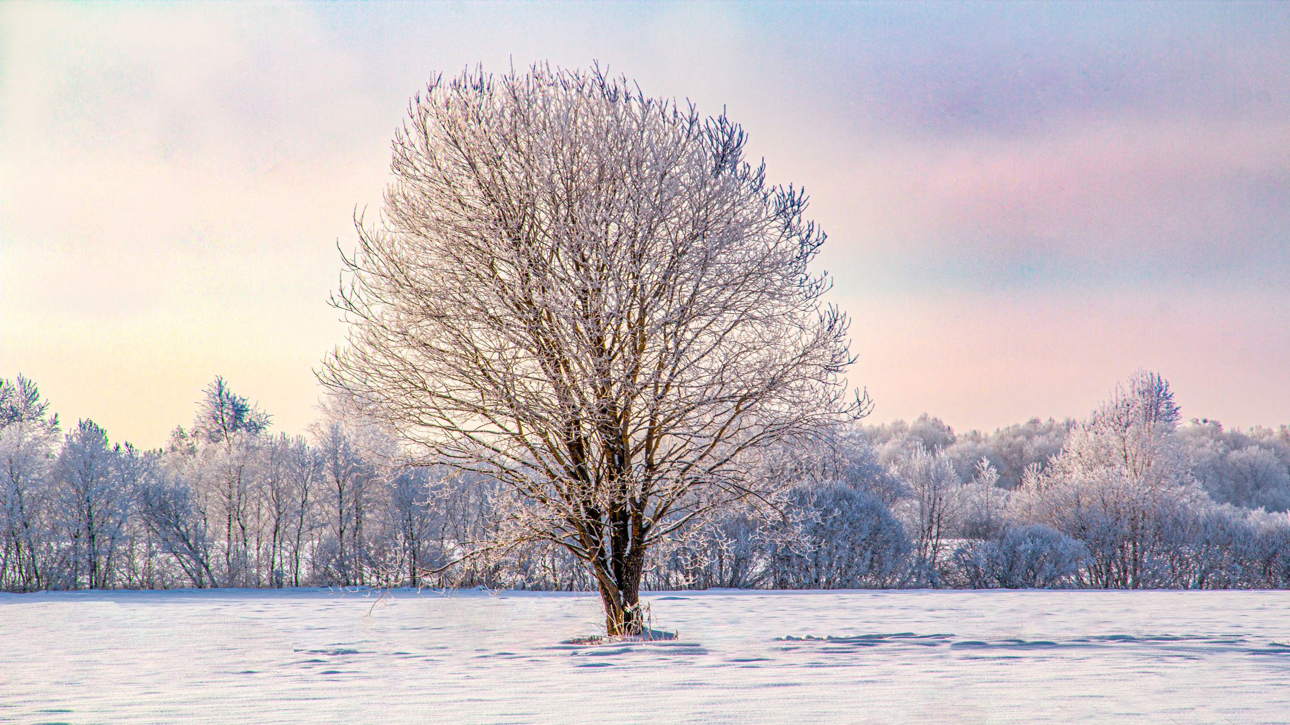 Nature of the Staritsa. Winter. Site of landscape photographer Pavel Krainikov