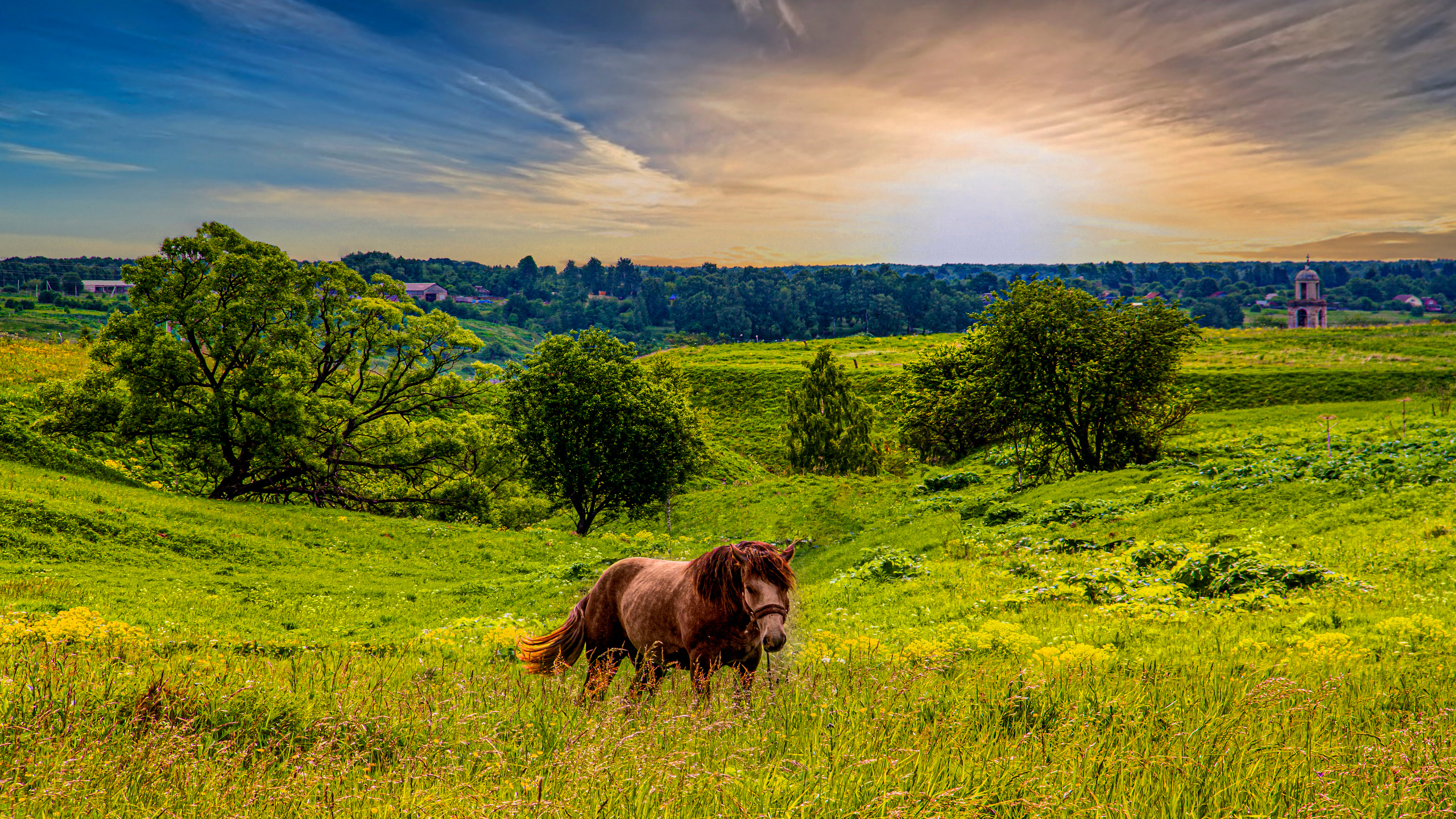 Природа Старицкого края. Закат. Сайт пейзажного фотографа Павла Крайникова