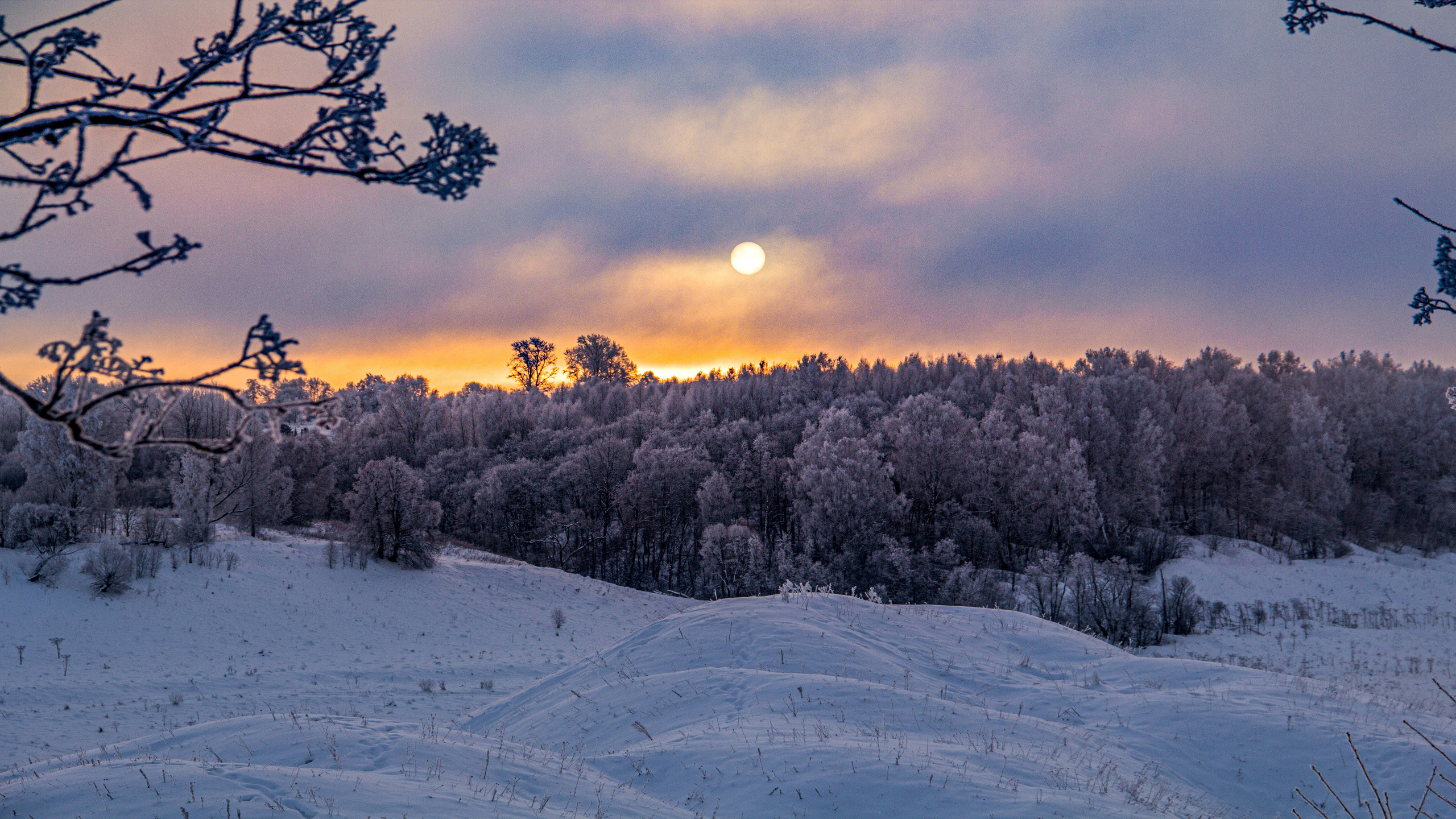 Nature of the Staritsa. Winter. Site of landscape photographer Pavel Krainikov