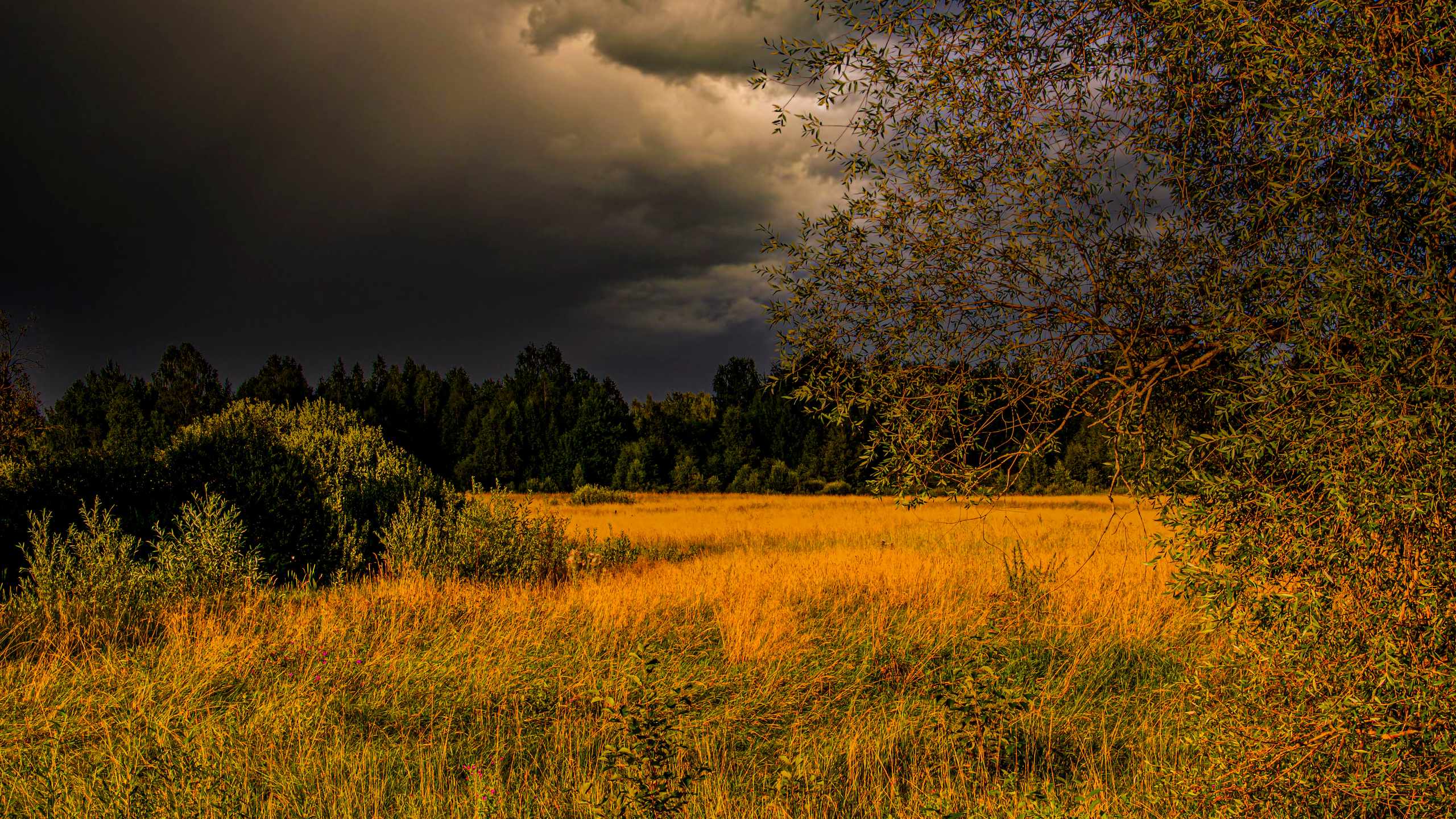 Pered grozoy. Сайт пейзажного фотографа Павла Крайникова
