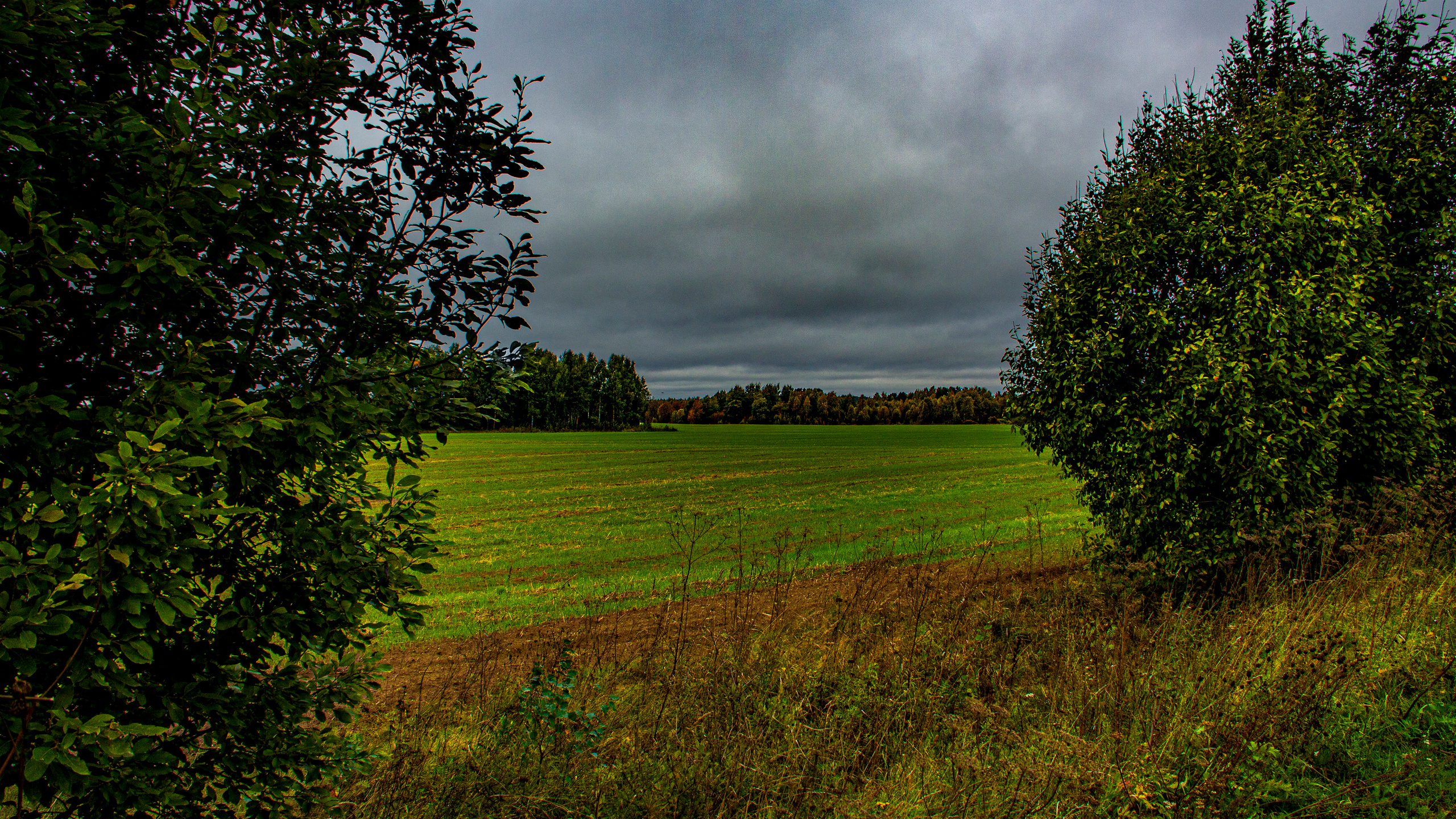 Pered grozoy. Сайт пейзажного фотографа Павла Крайникова
