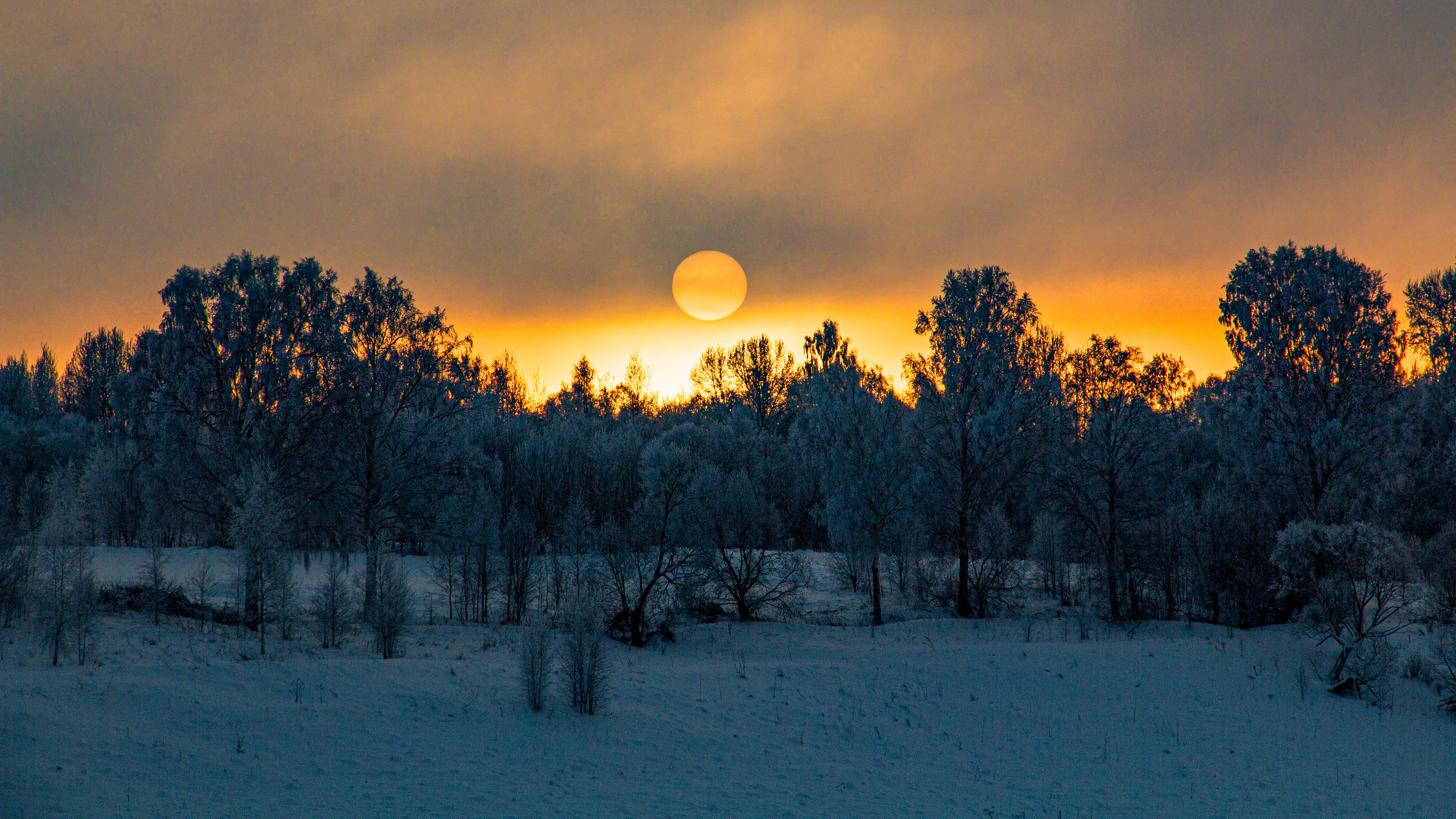 Nature of the Staritsa. Winter. Site of landscape photographer Pavel Krainikov
