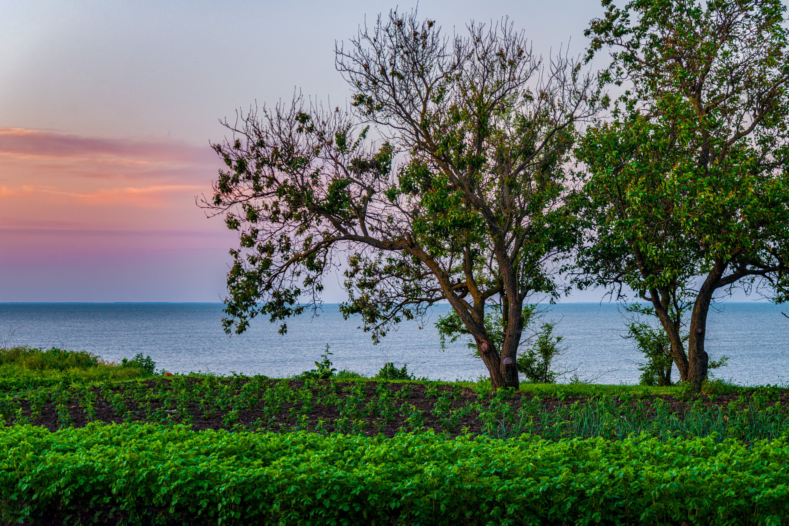 Фото Павла Крайникова