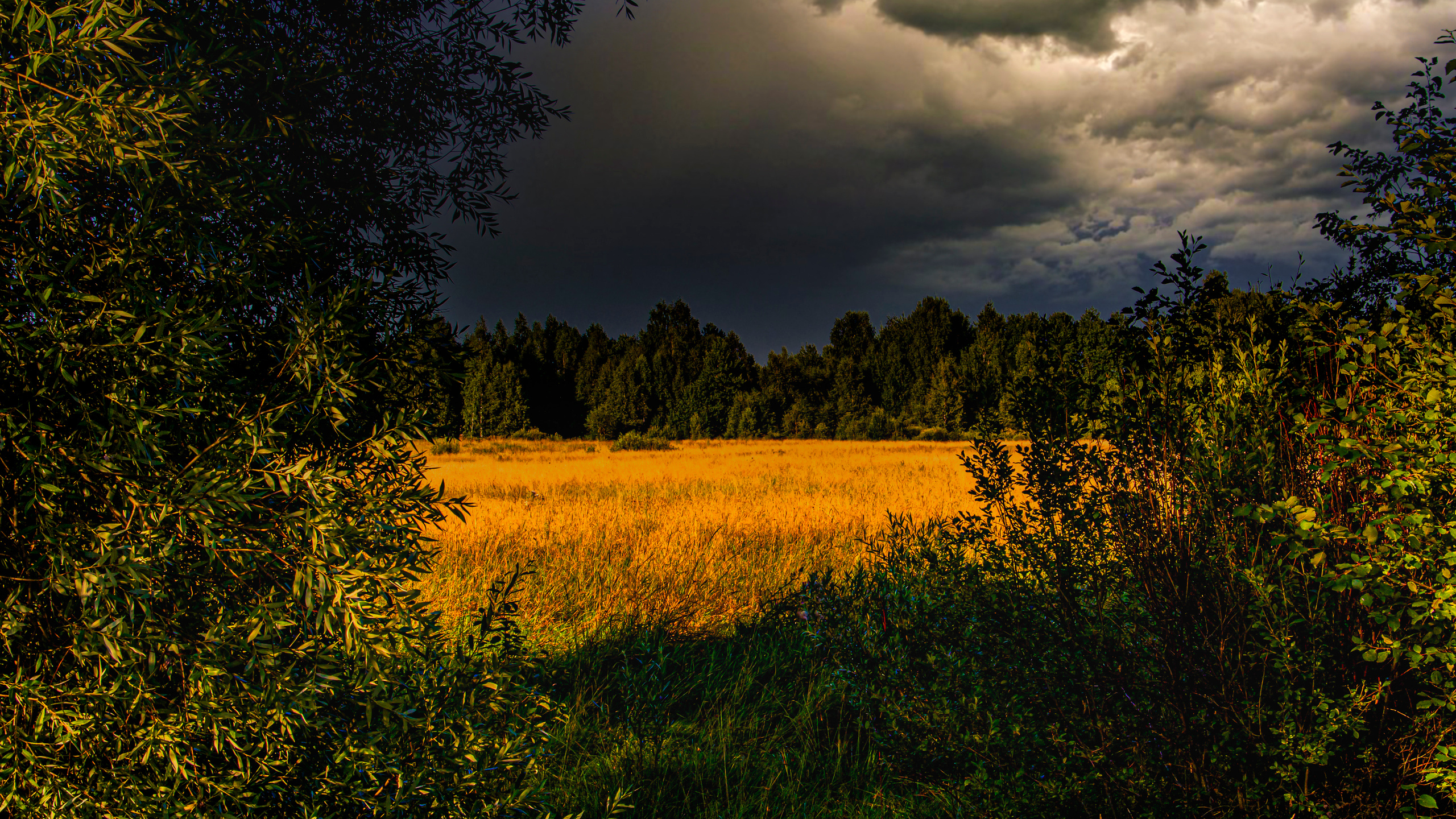 Pered grozoy. Сайт пейзажного фотографа Павла Крайникова