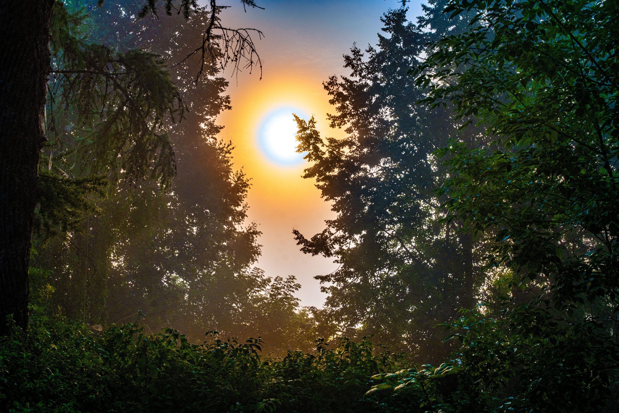 Природа Старицкого края. Закат. Сайт пейзажного фотографа Павла Крайникова