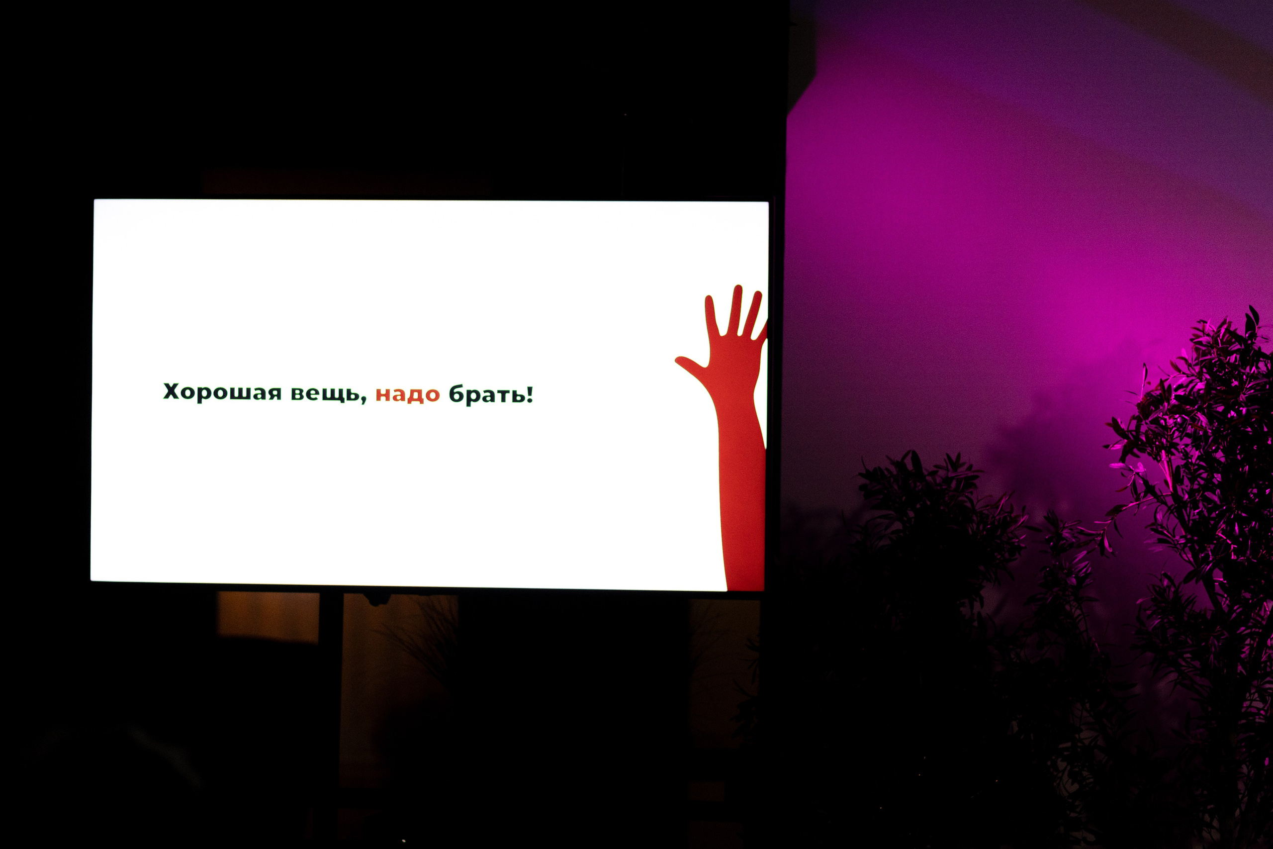 Большой разговор: А можно не надо?. Свадебный фотограф | Москва