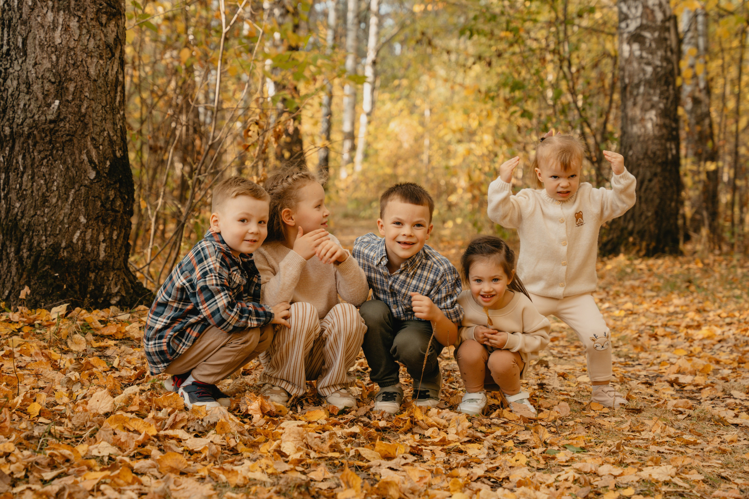 Осенние краски в закате солнца
