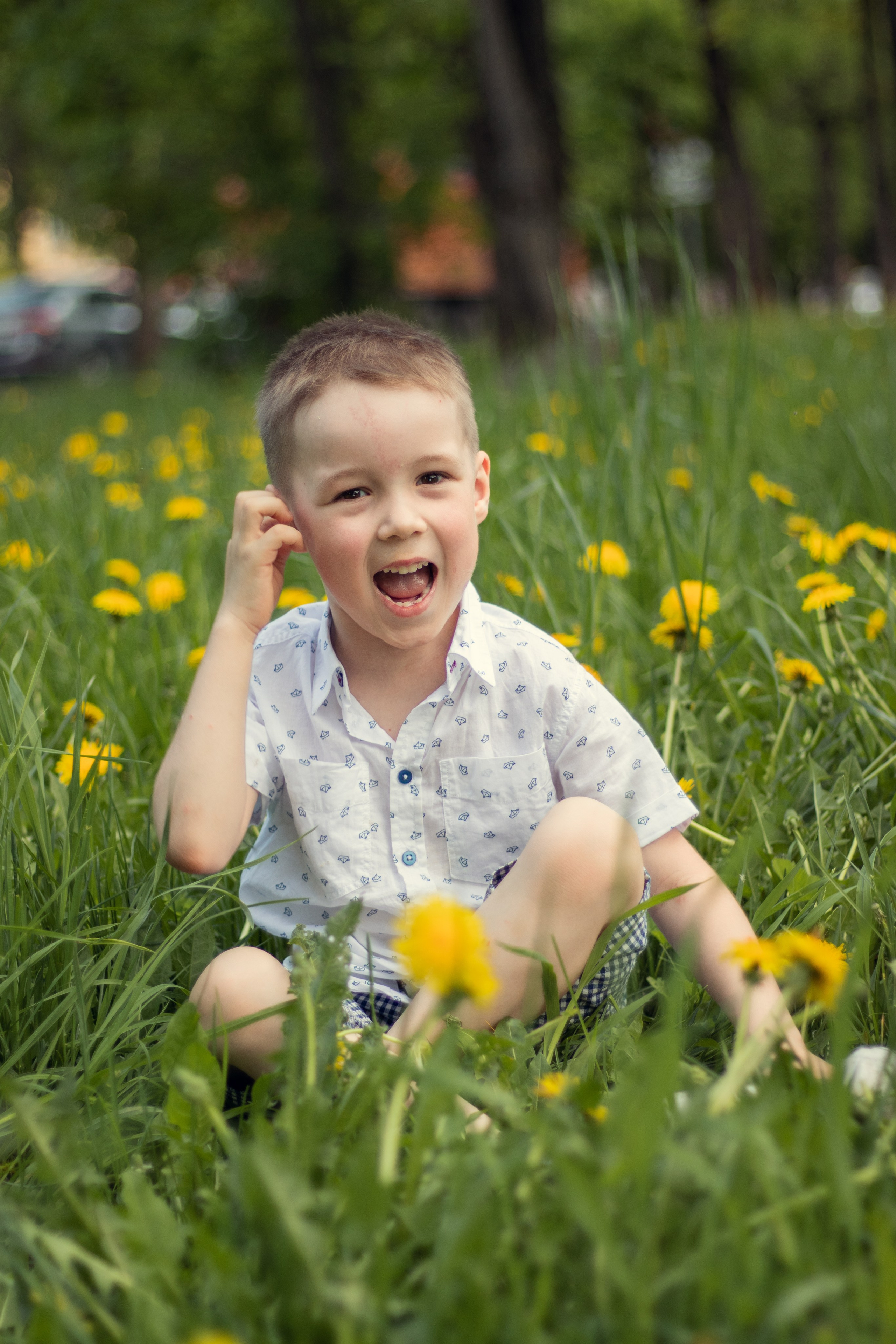 Одуванчиковое настроение