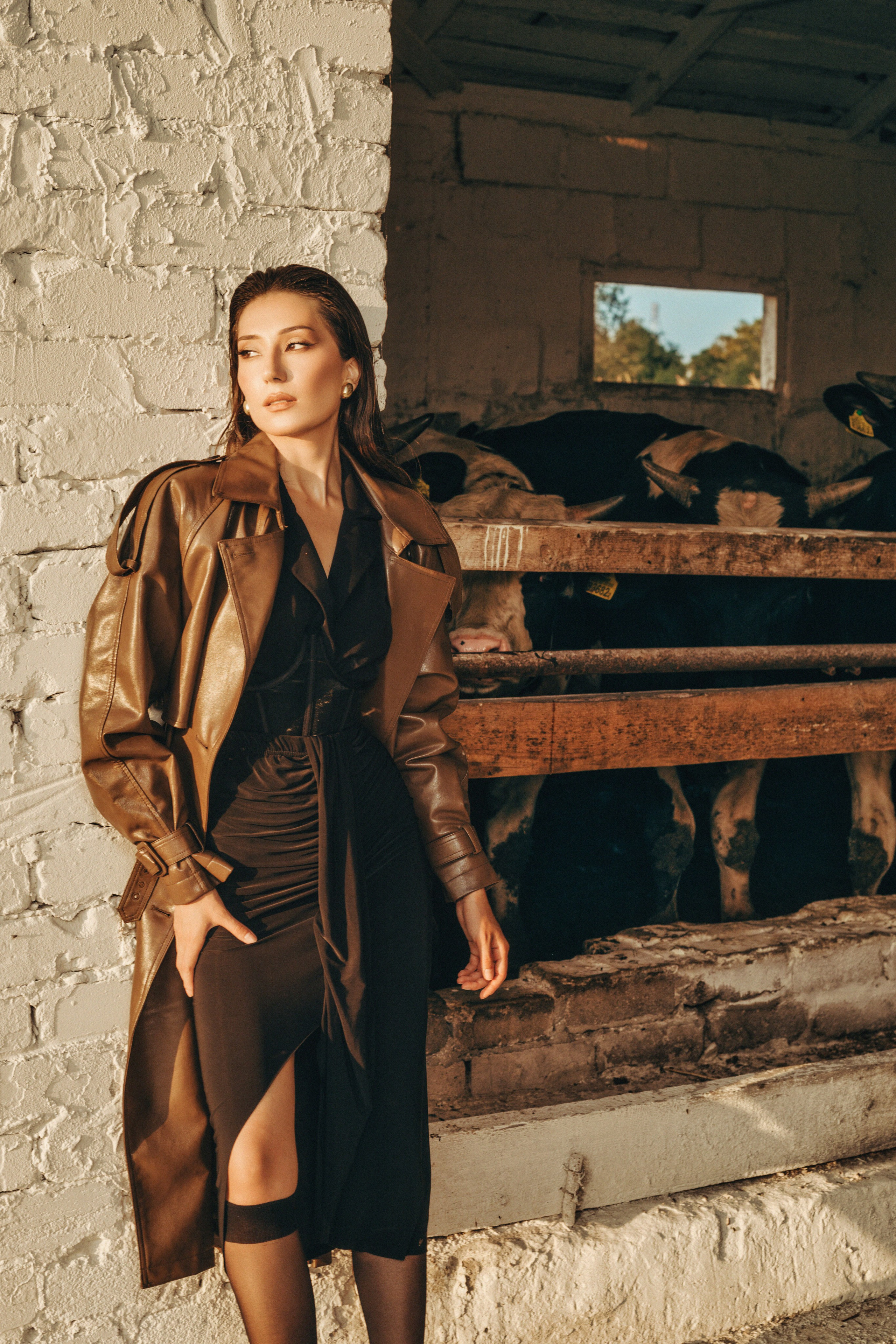 фотосессия в коровнике