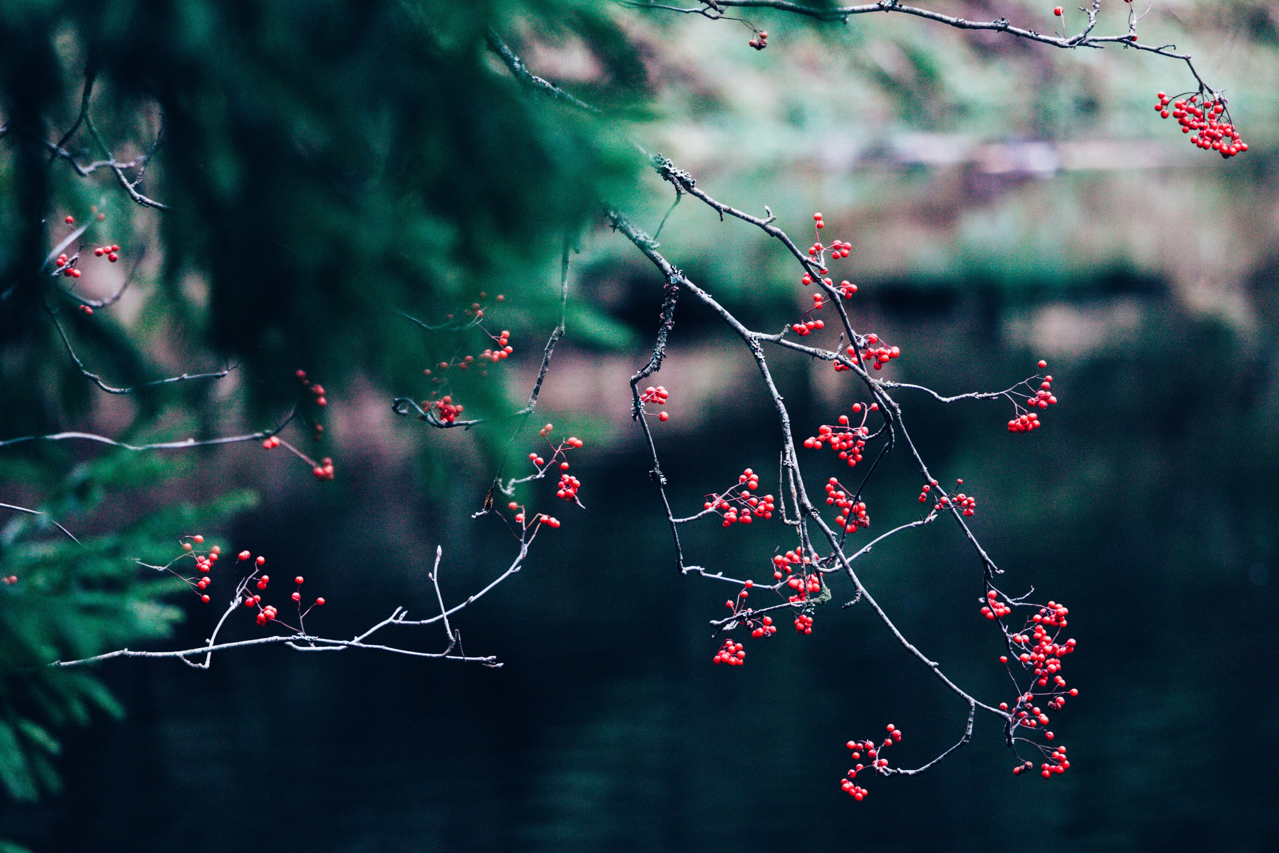 Дария Галямова — фотограф: открытый, творческий, коммерческий