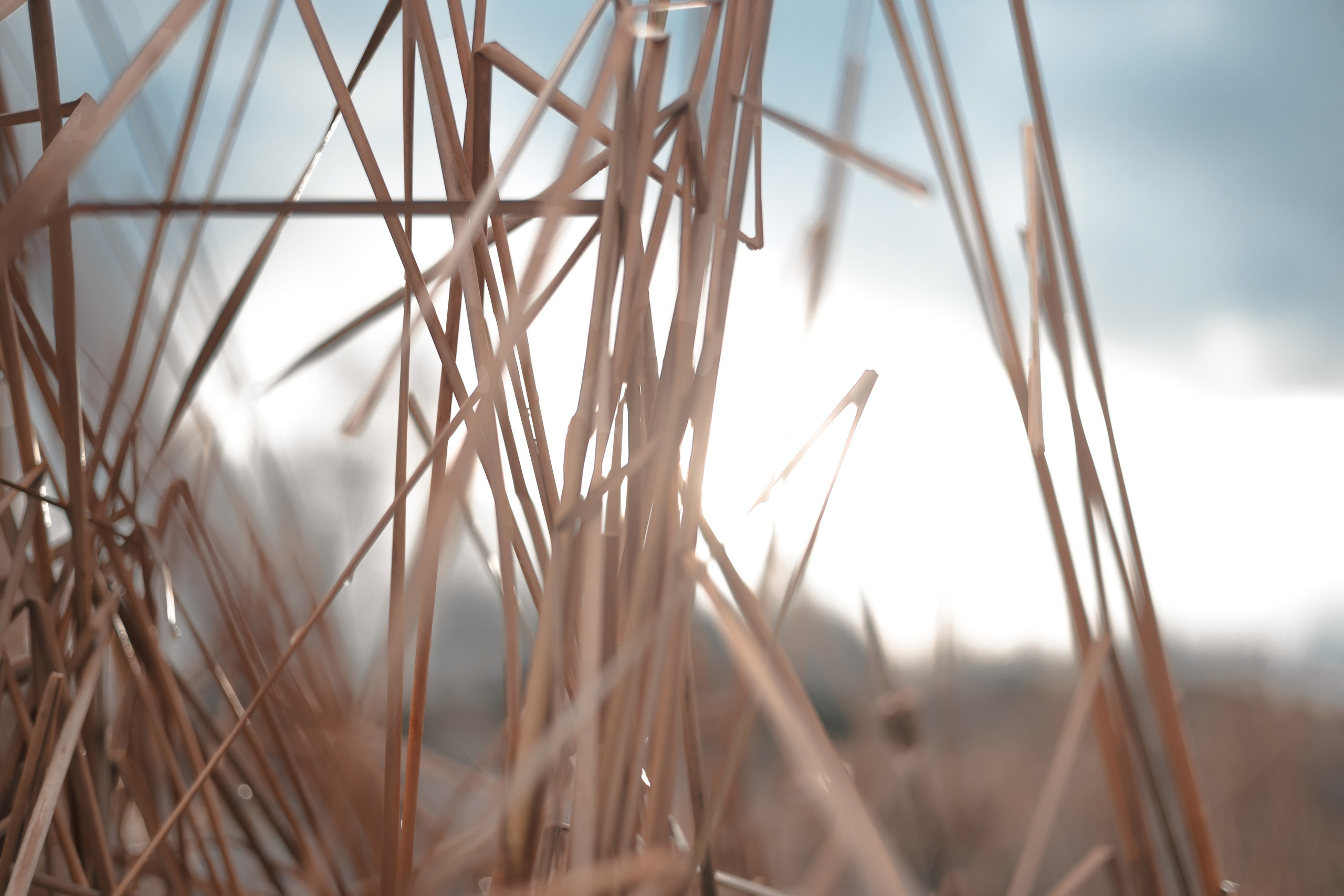 1-й Северный форт Кронштадт