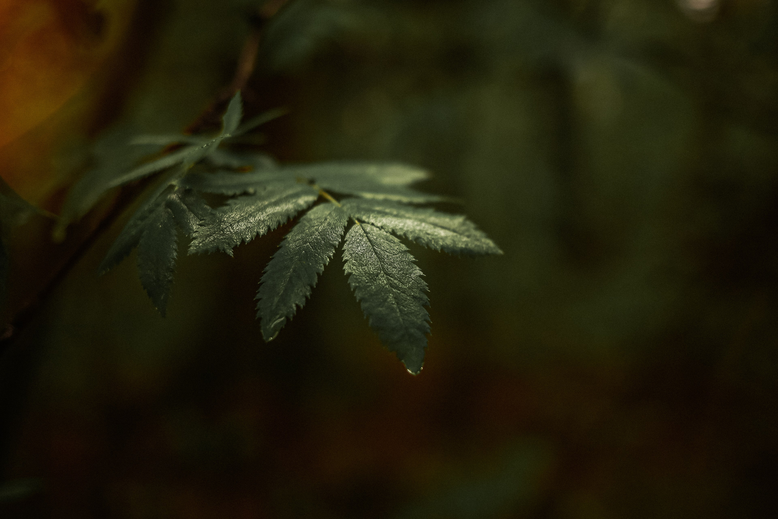 Магия обыкновенного. Фотограф-документалист и фототерапевт Настя Китаева. Город Москва