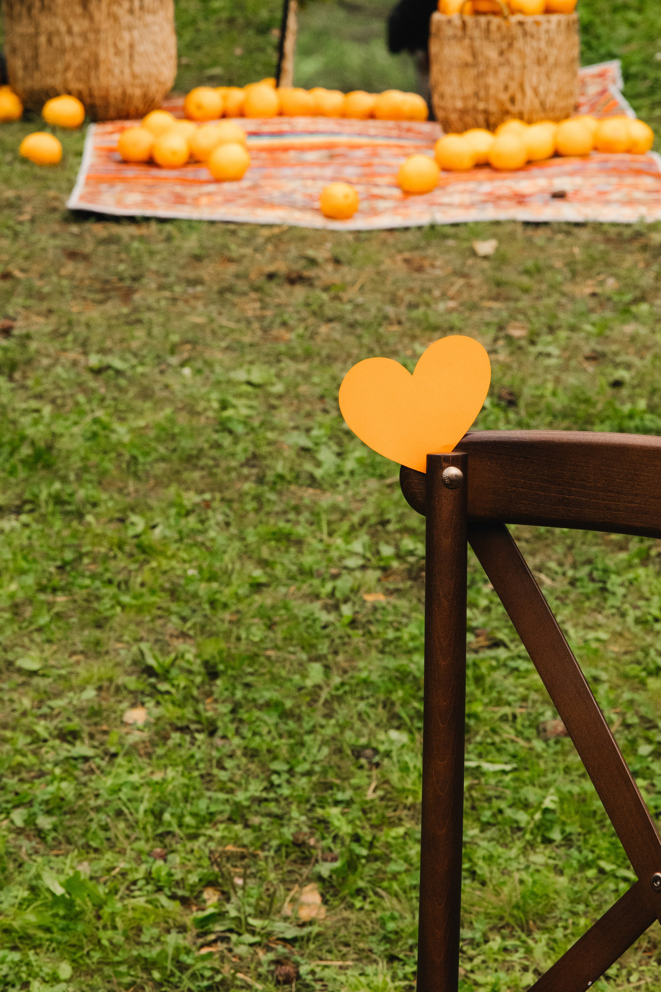 Данил и Даша. Организатор Романова Любовь