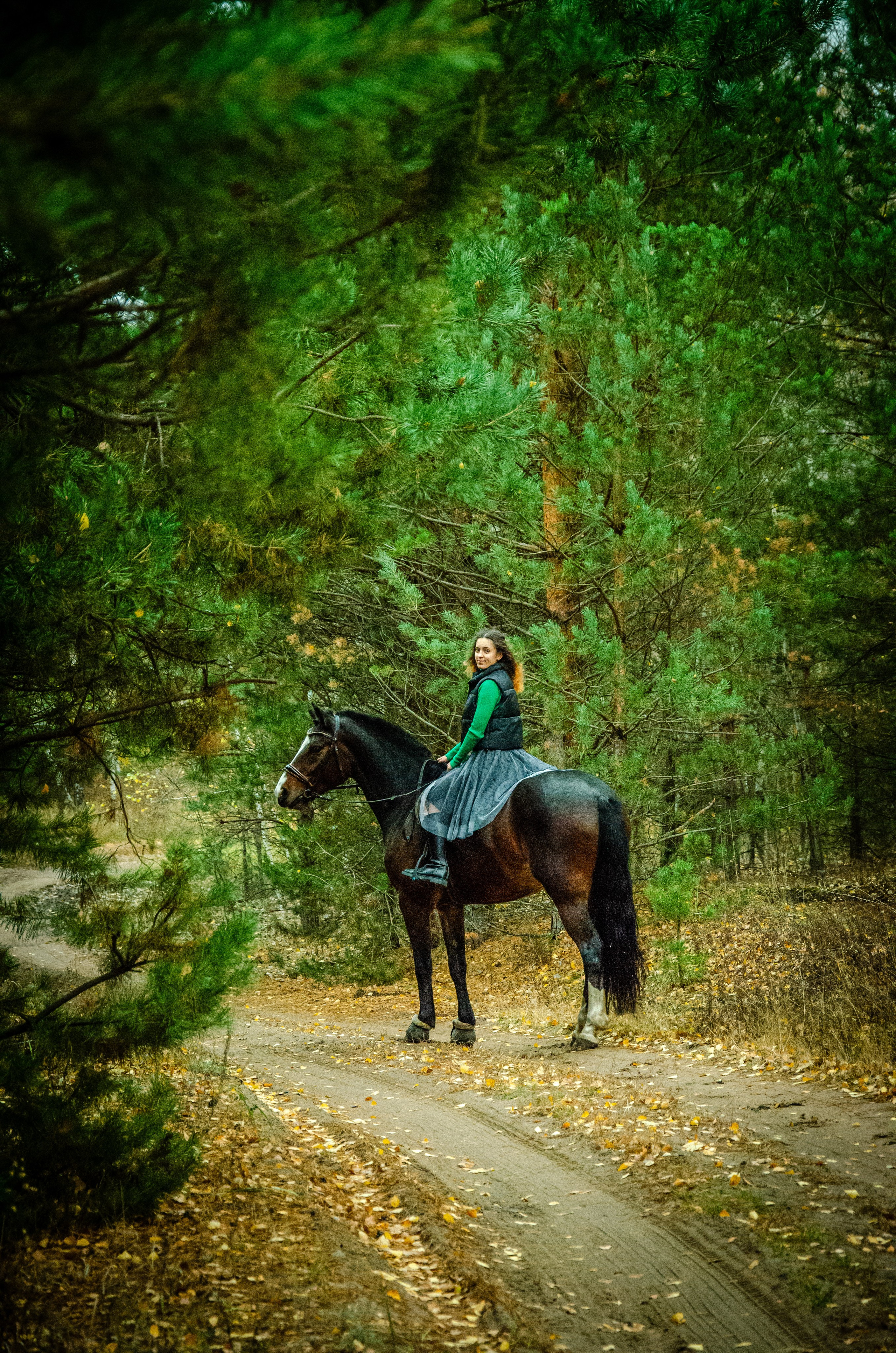 Степ. Мультифотограф Виктория Лихоманова