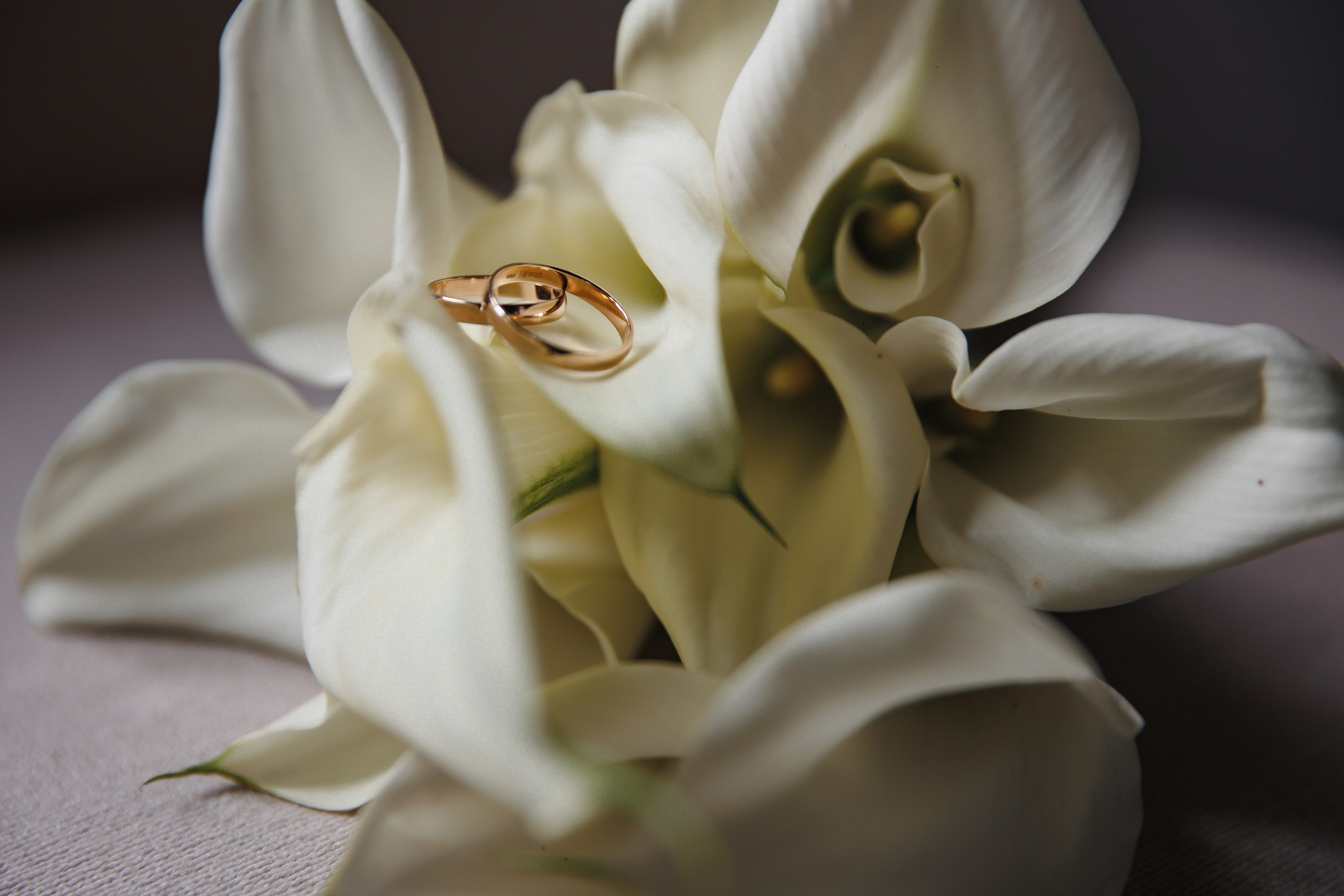 Кирилл и Аня. Wedding photographer in St. Petersburg, Europe and Israel Anna Agafon