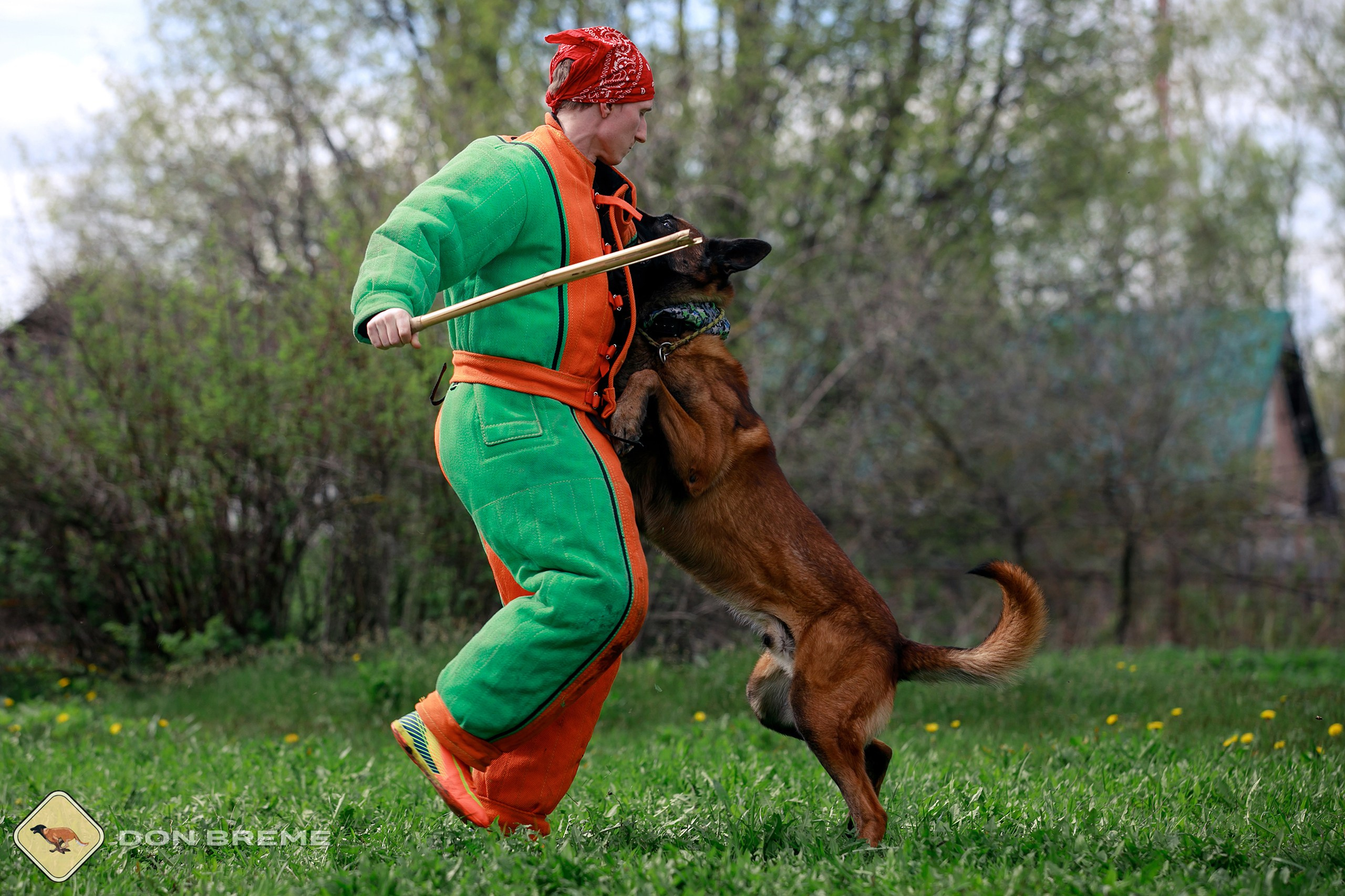 Семинар для фигурантов, день 2. Фотограф-анималист Mary Mart — Москва, Питер